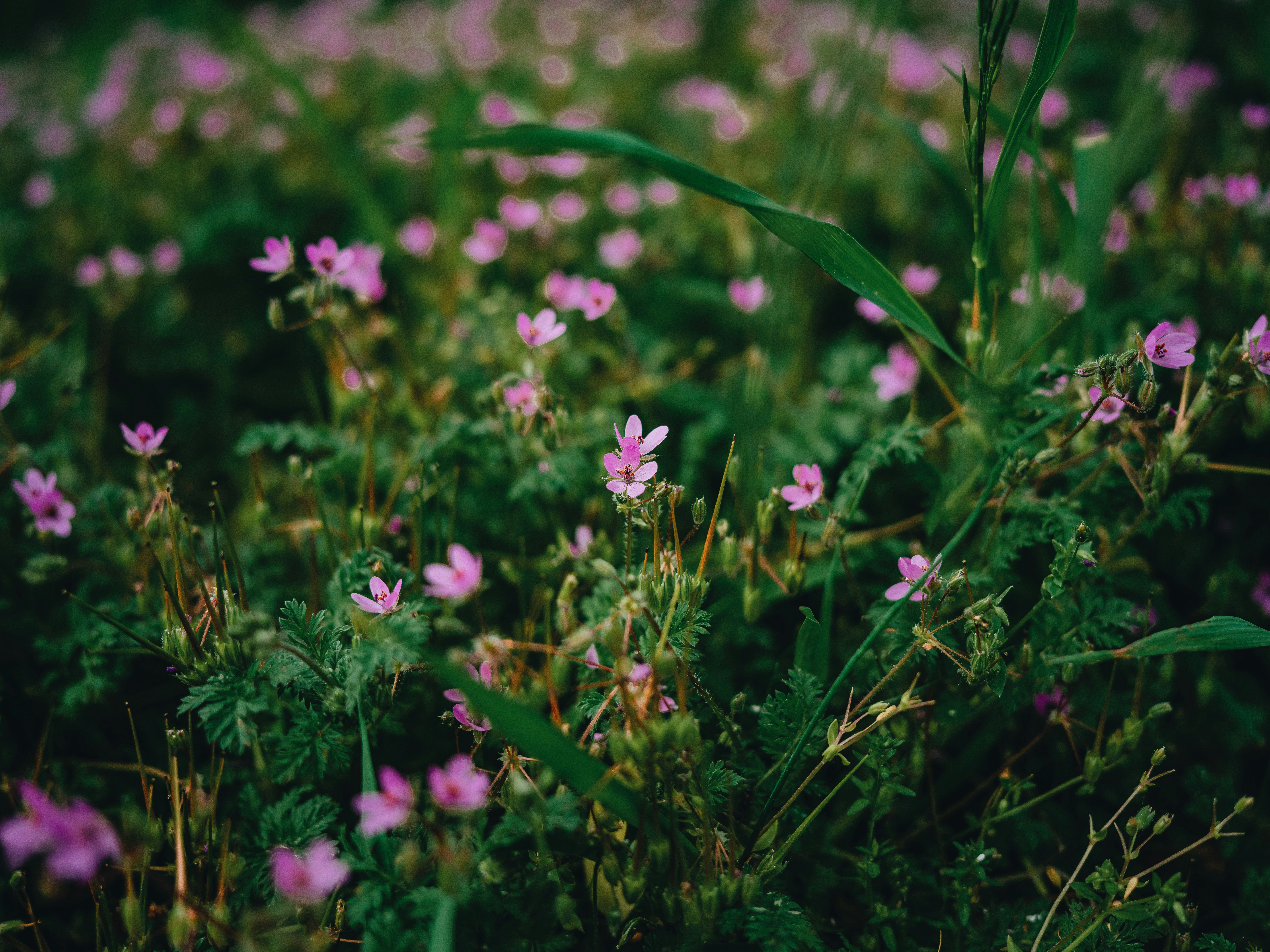 Photo by egorkomarov