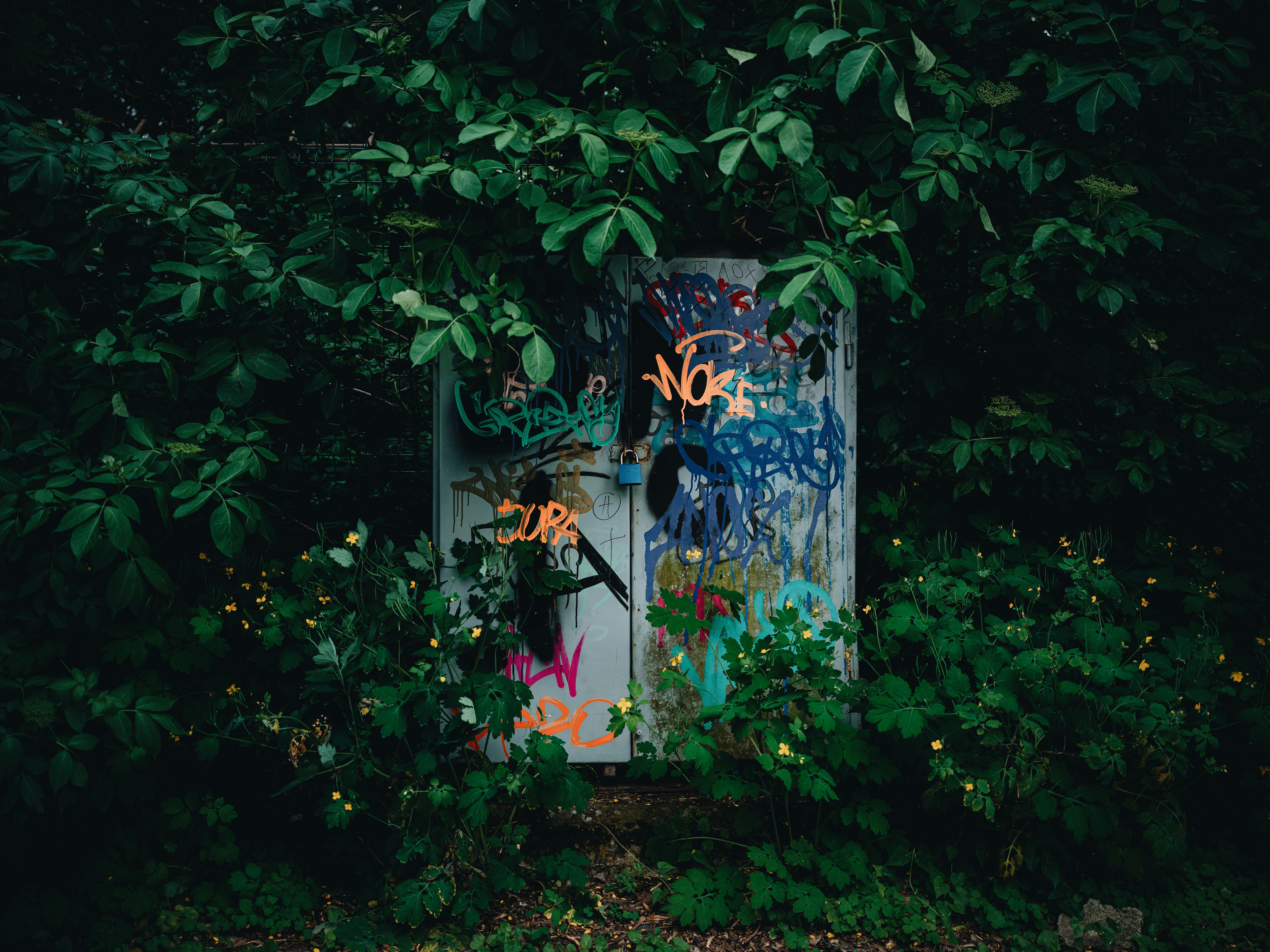 Photo by egorkomarov