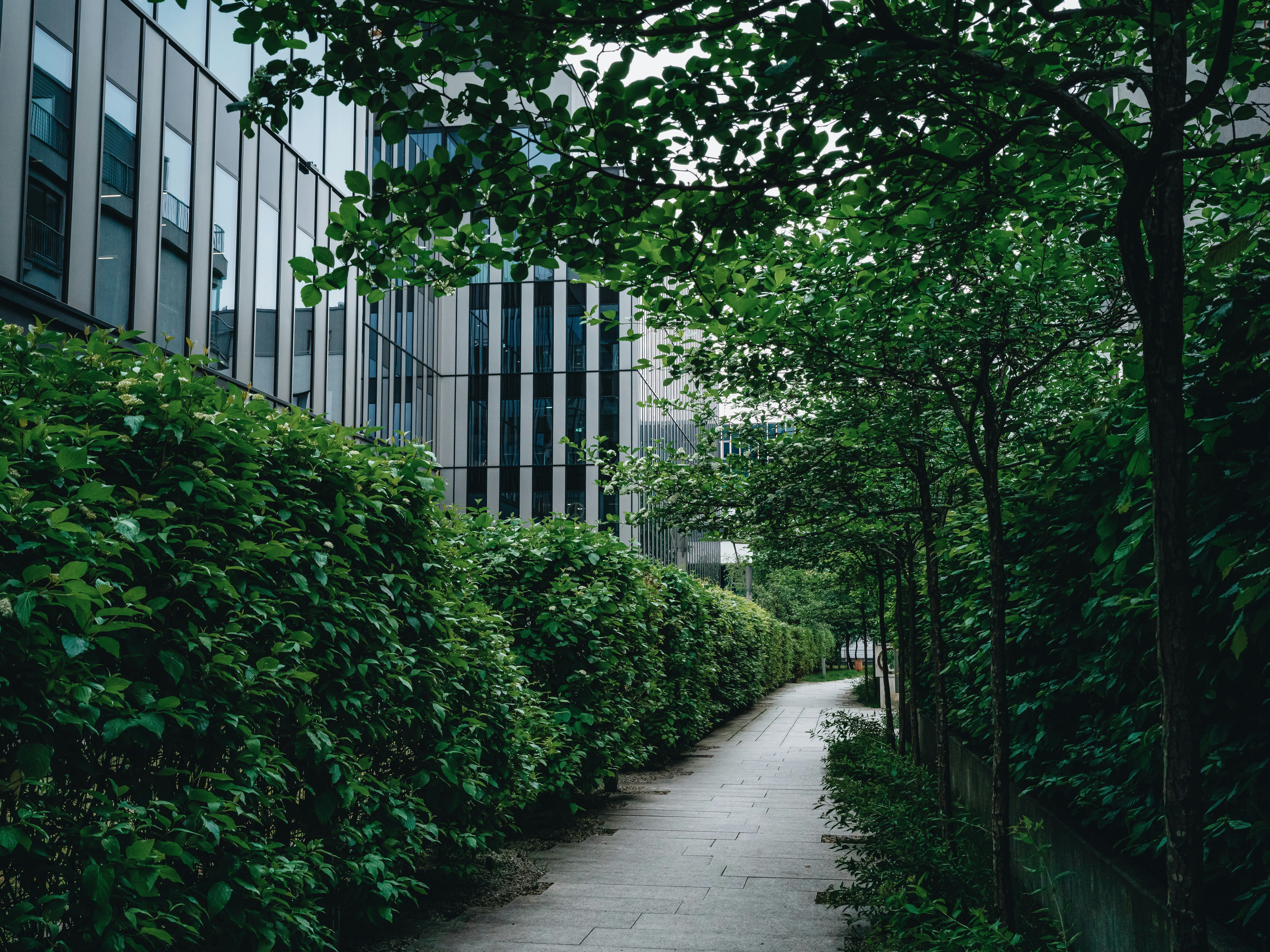 Photo by egorkomarov