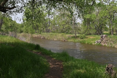 A serene river flowing through lush greenery with community members cleaning the banks.