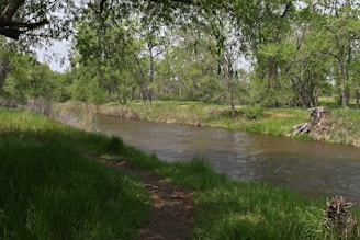 A peaceful nature scene with a flowing river and lush greenery.