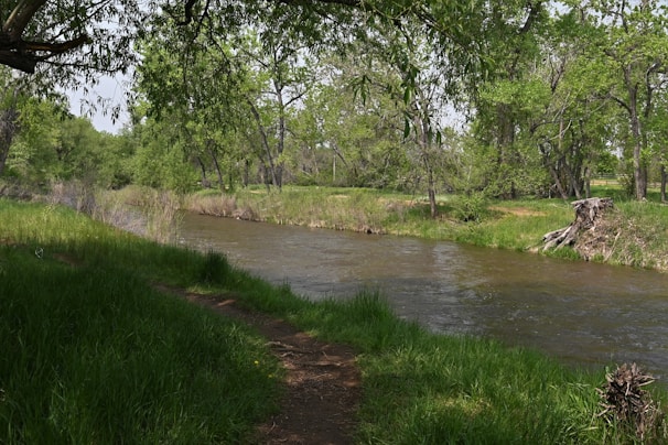 A peaceful meditation spot by a gentle river surrounded by lush greenery.