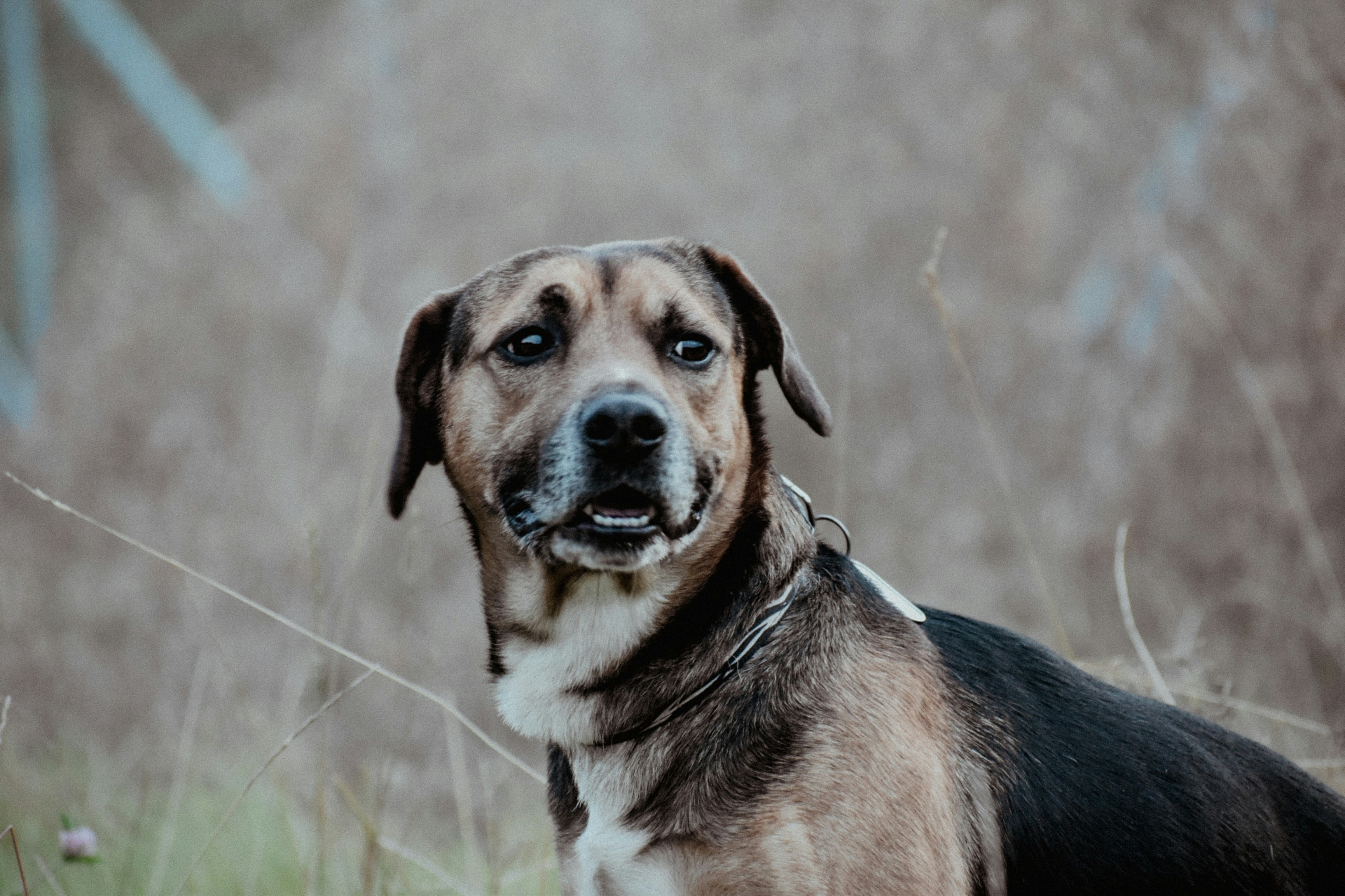 Photo by colorful_jelly