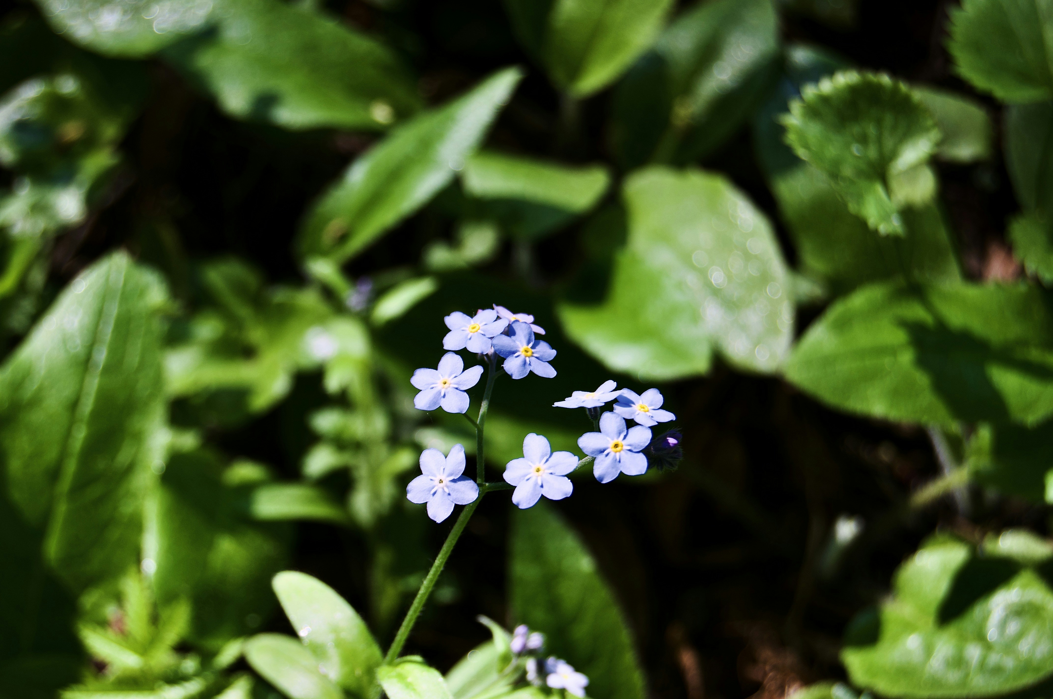 Photo by alexanderphotography