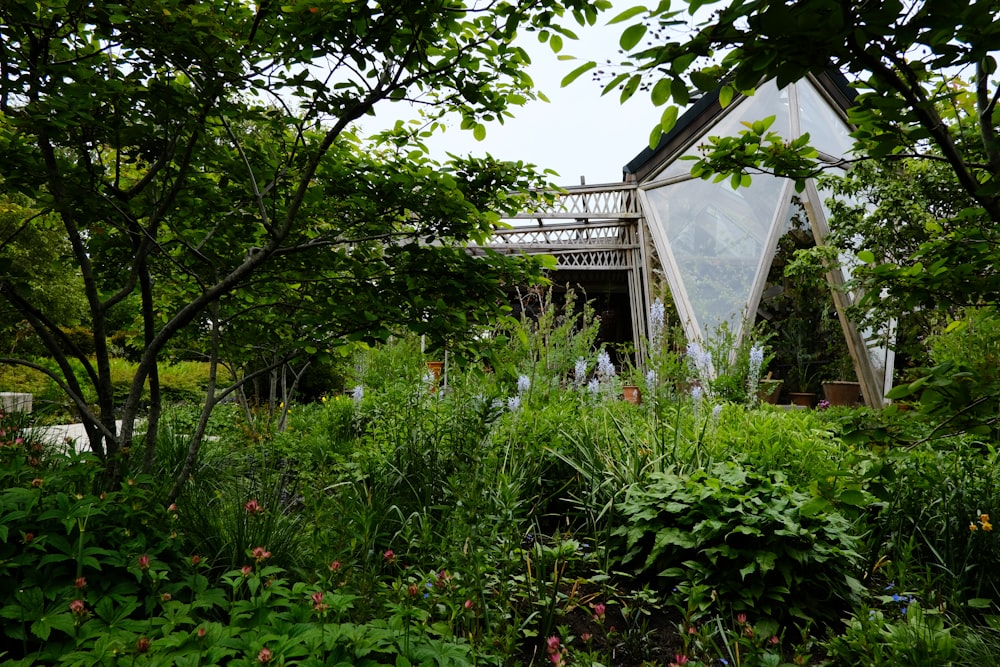 a house in the middle of a lush green forest