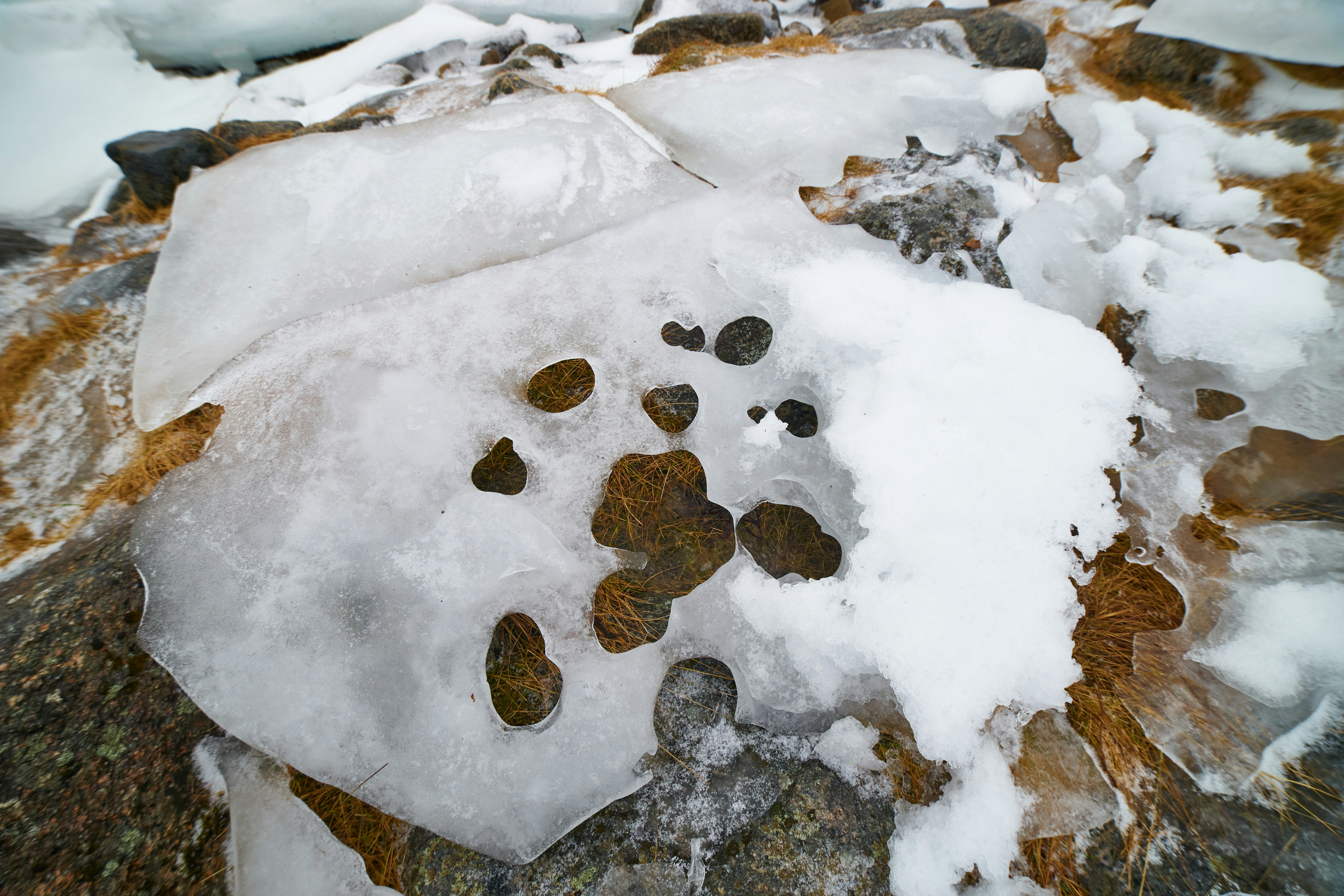 Photo by wolfgang_hasselmann