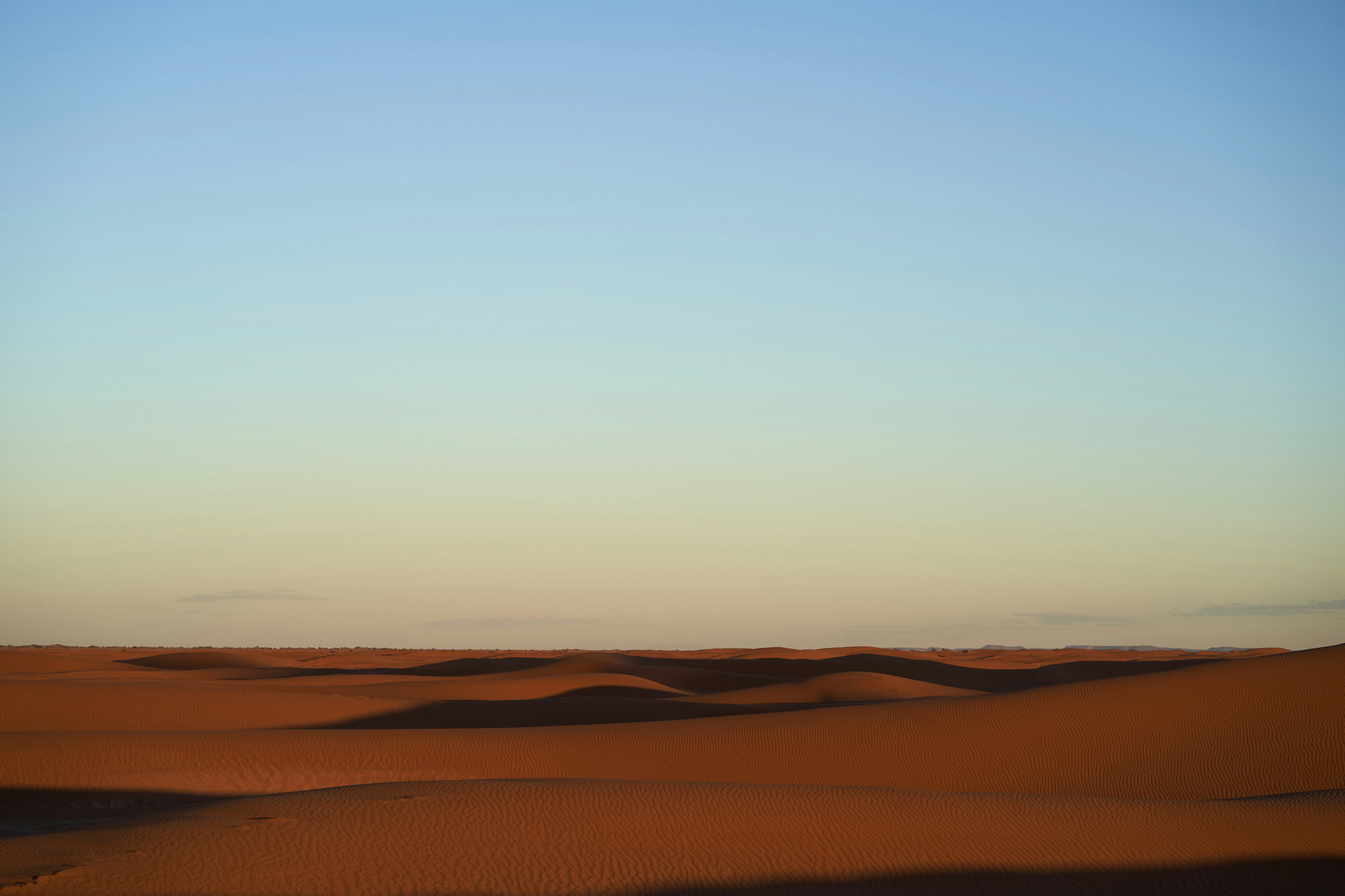 Photo by wolfgang_hasselmann