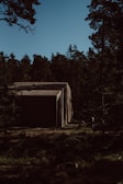 A rectangular concrete building is partially visible among dense forest trees under a clear blue sky. The surrounding vegetation is lush and obscures parts of the structure, creating a secluded and mysterious atmosphere.
