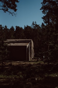 A rectangular concrete building is partially visible among dense forest trees under a clear blue sky. The surrounding vegetation is lush and obscures parts of the structure, creating a secluded and mysterious atmosphere.