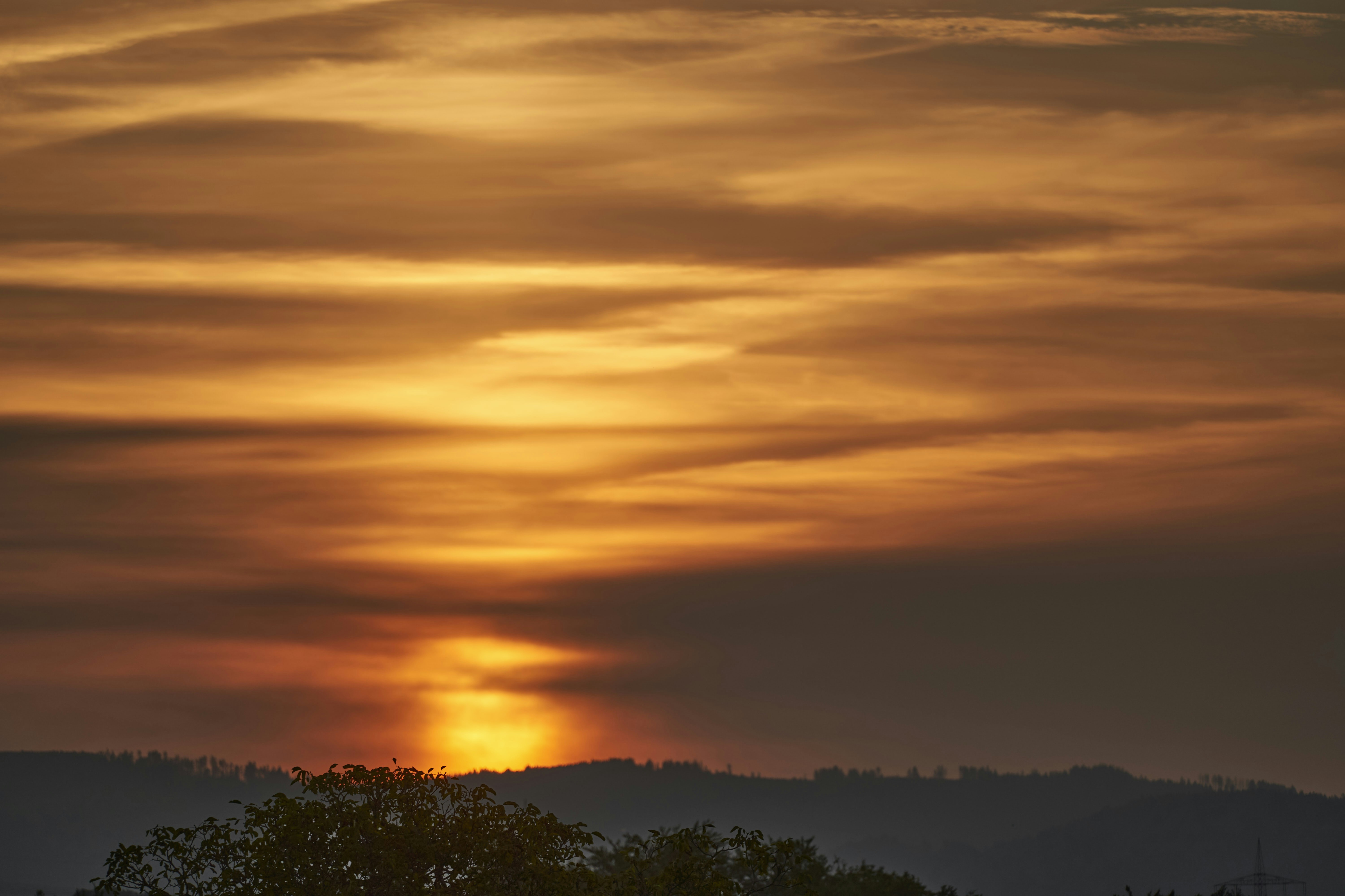 Photo by wolfgang_hasselmann