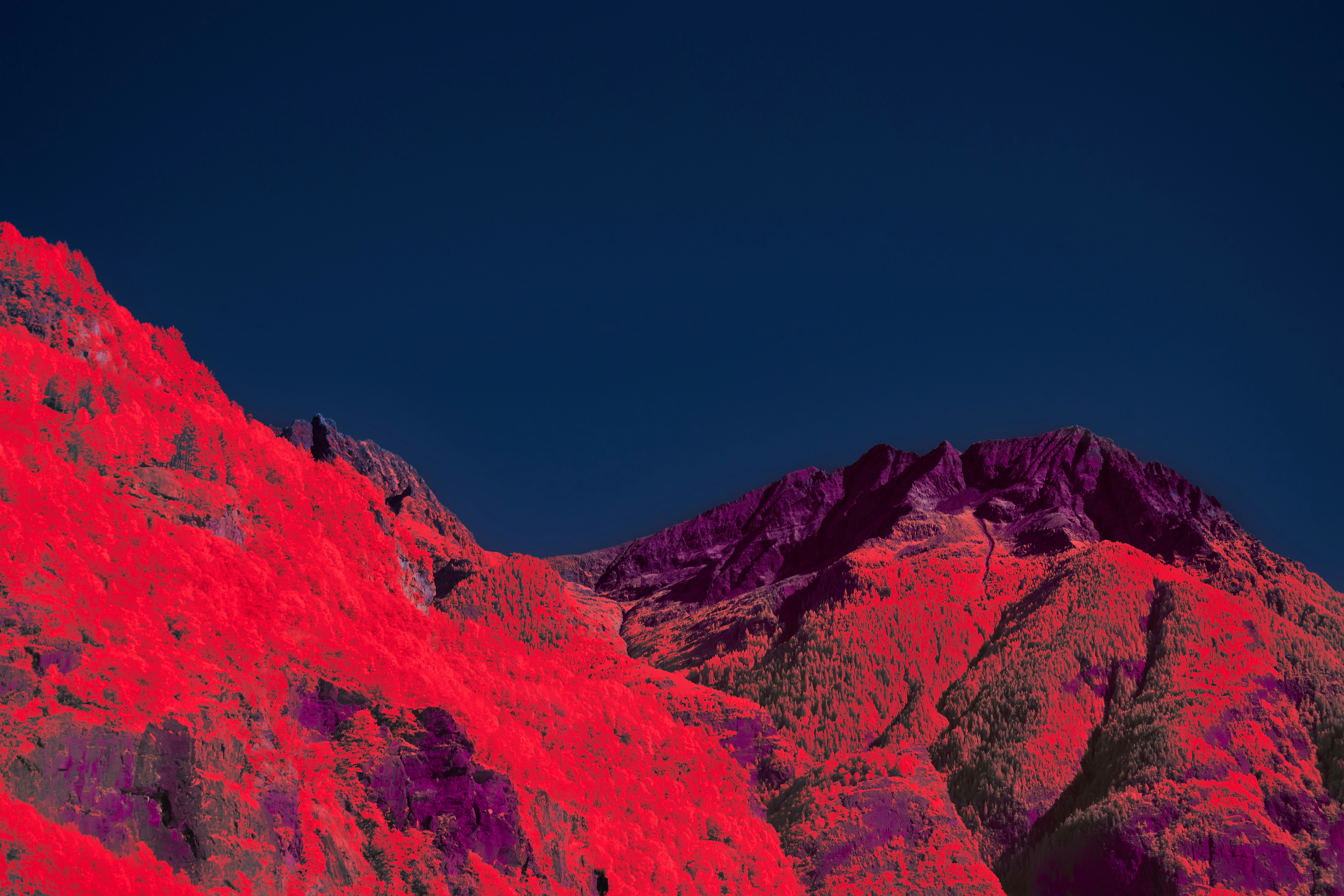 Photo by wolfgang_hasselmann