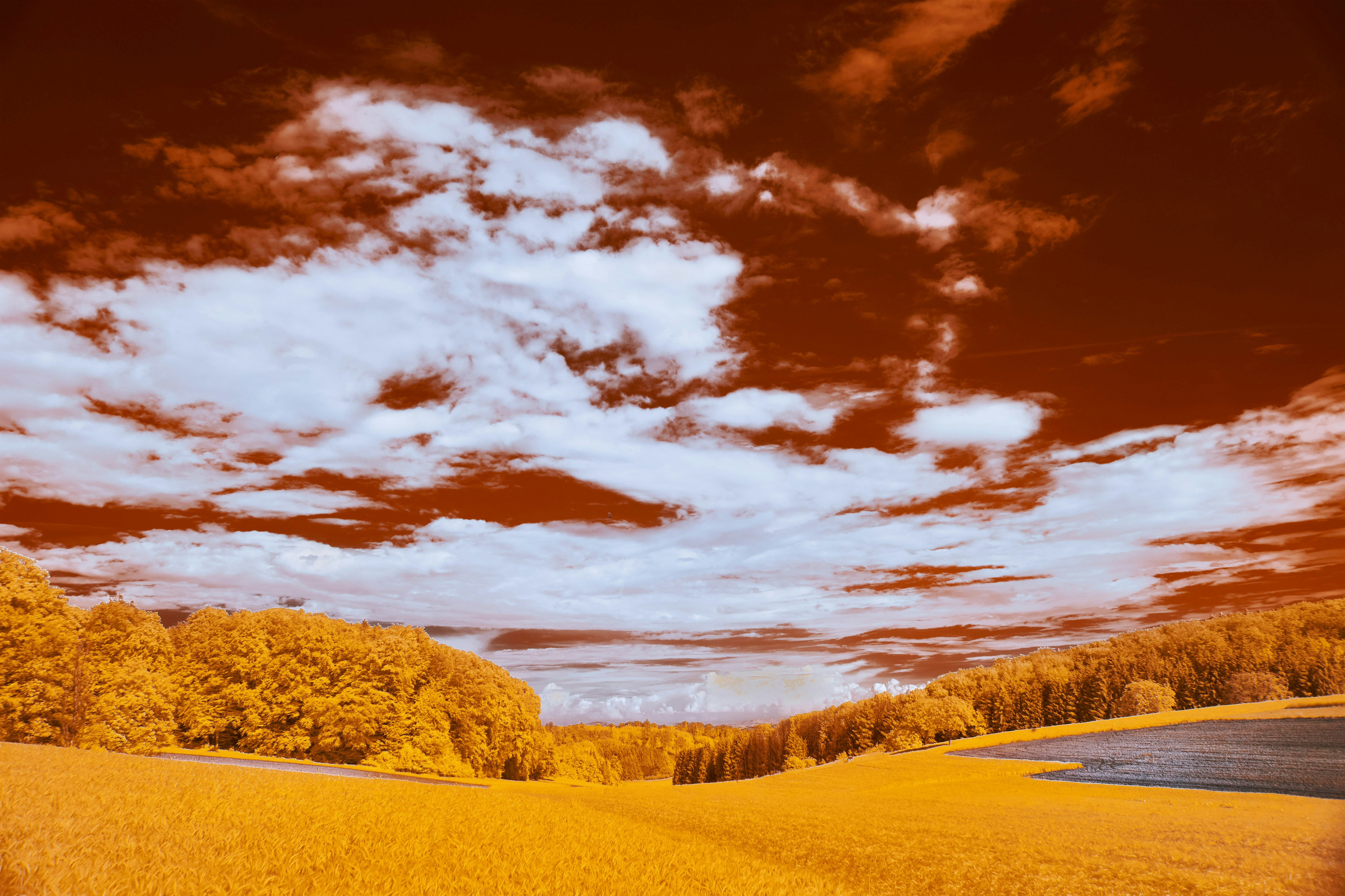 Photo by wolfgang_hasselmann