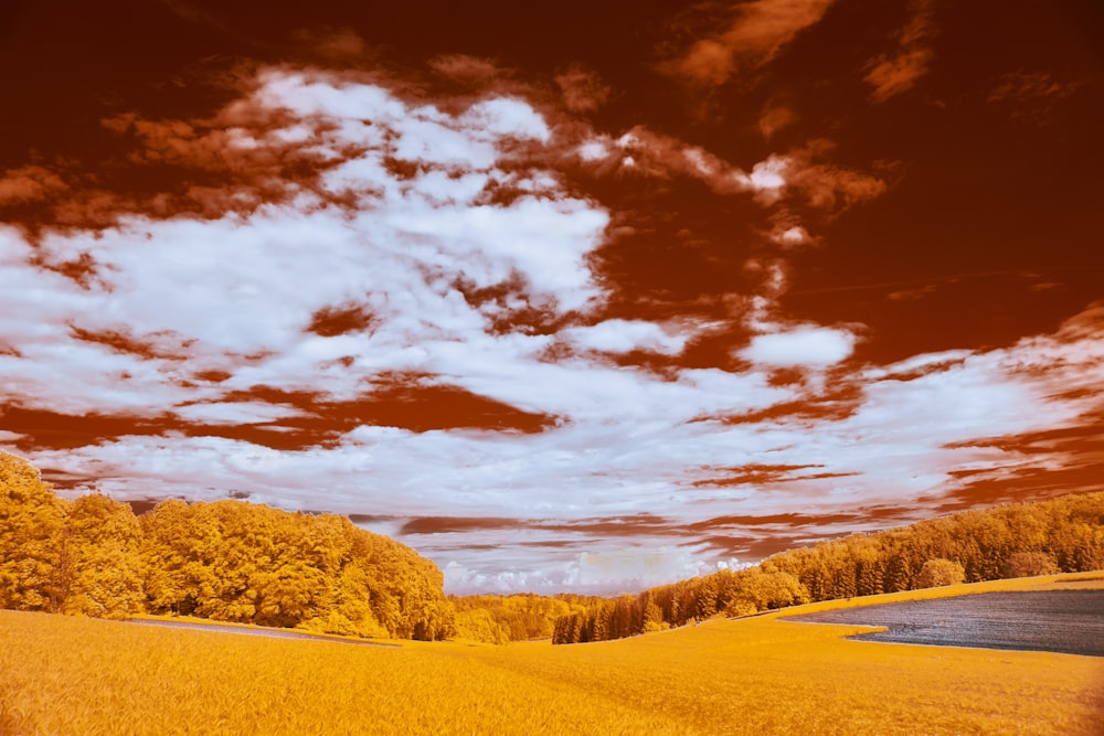 a field with trees and clouds in the background