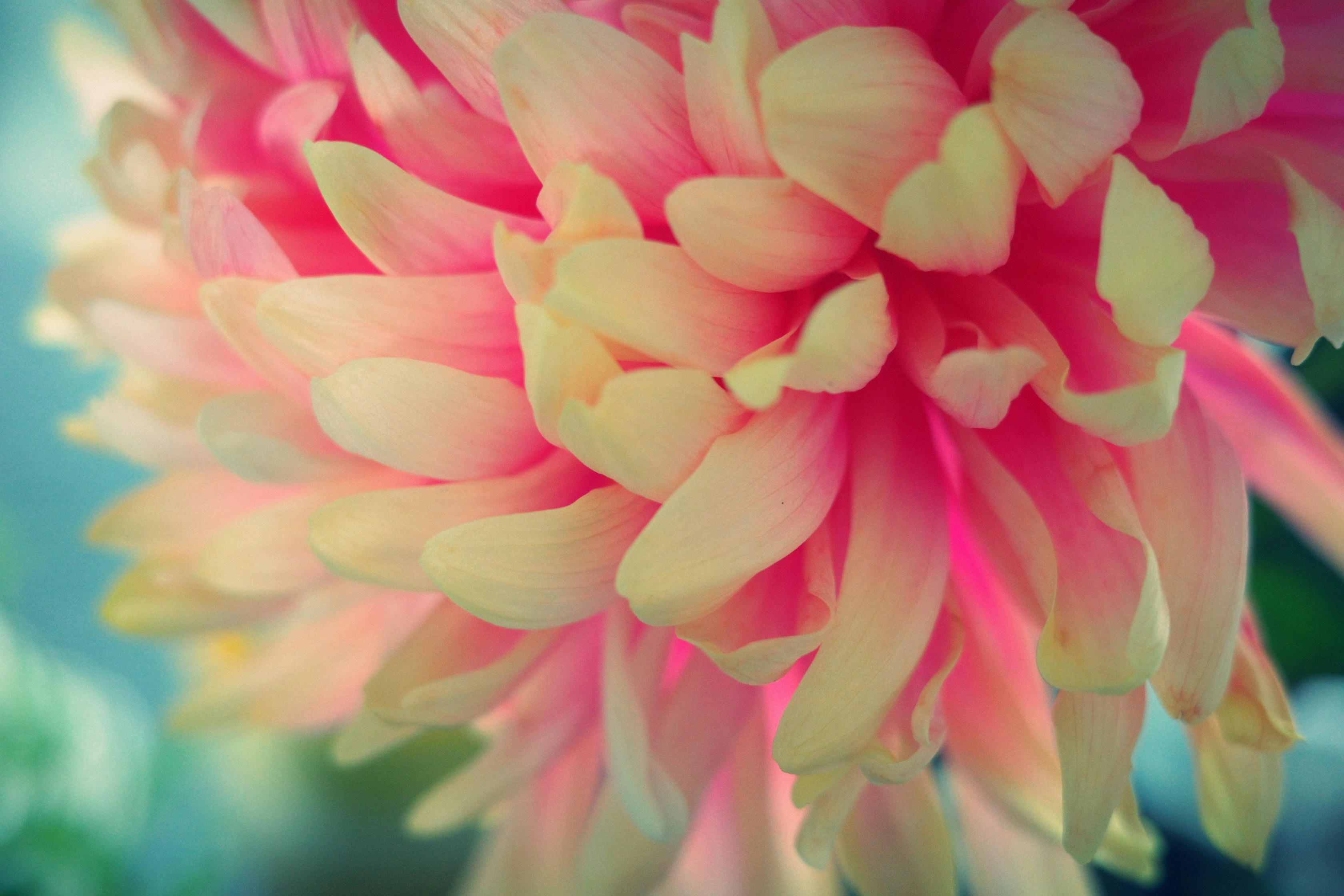 Photo by raimondklavins