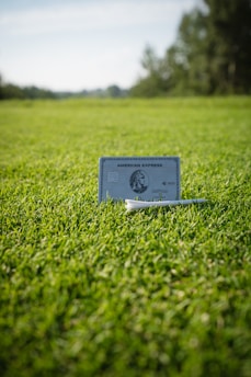 a credit card sitting on top of a green field