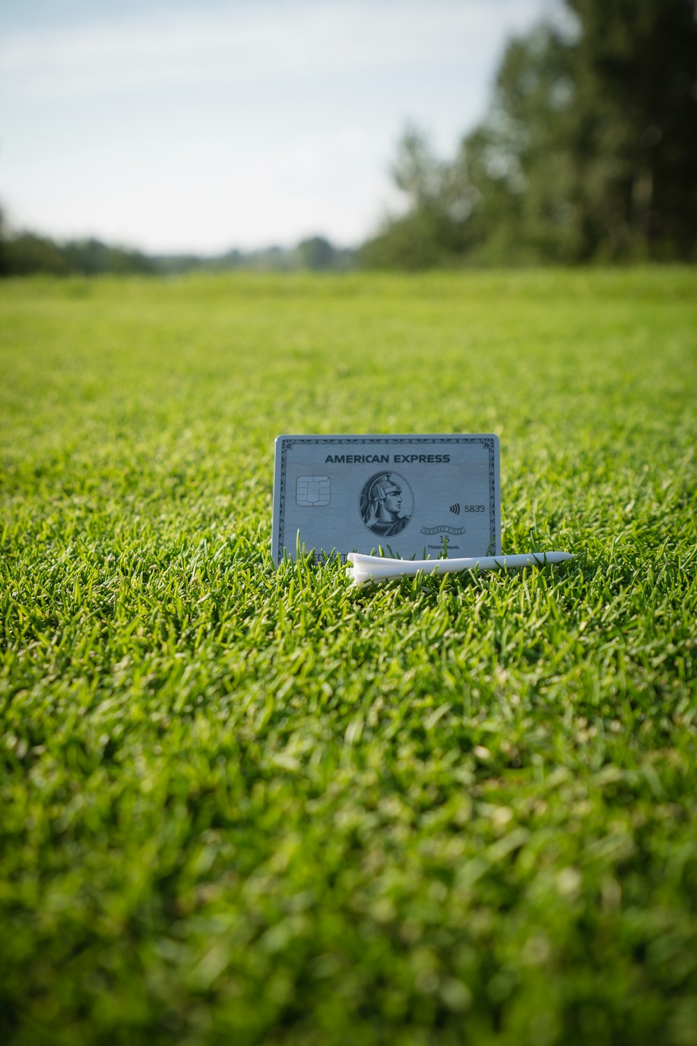 a credit card sitting on top of a green field