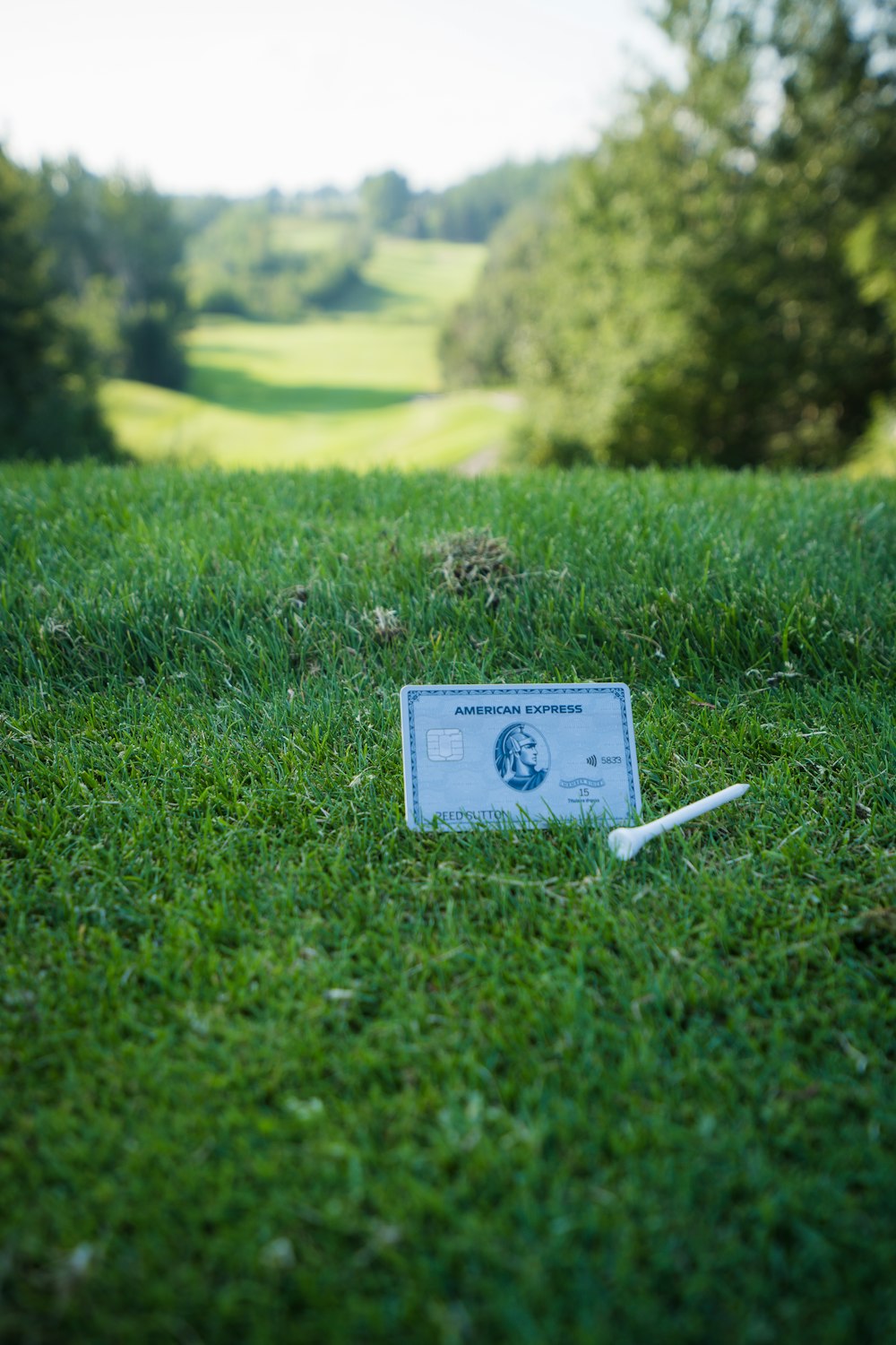 a business card laying on the ground in the grass