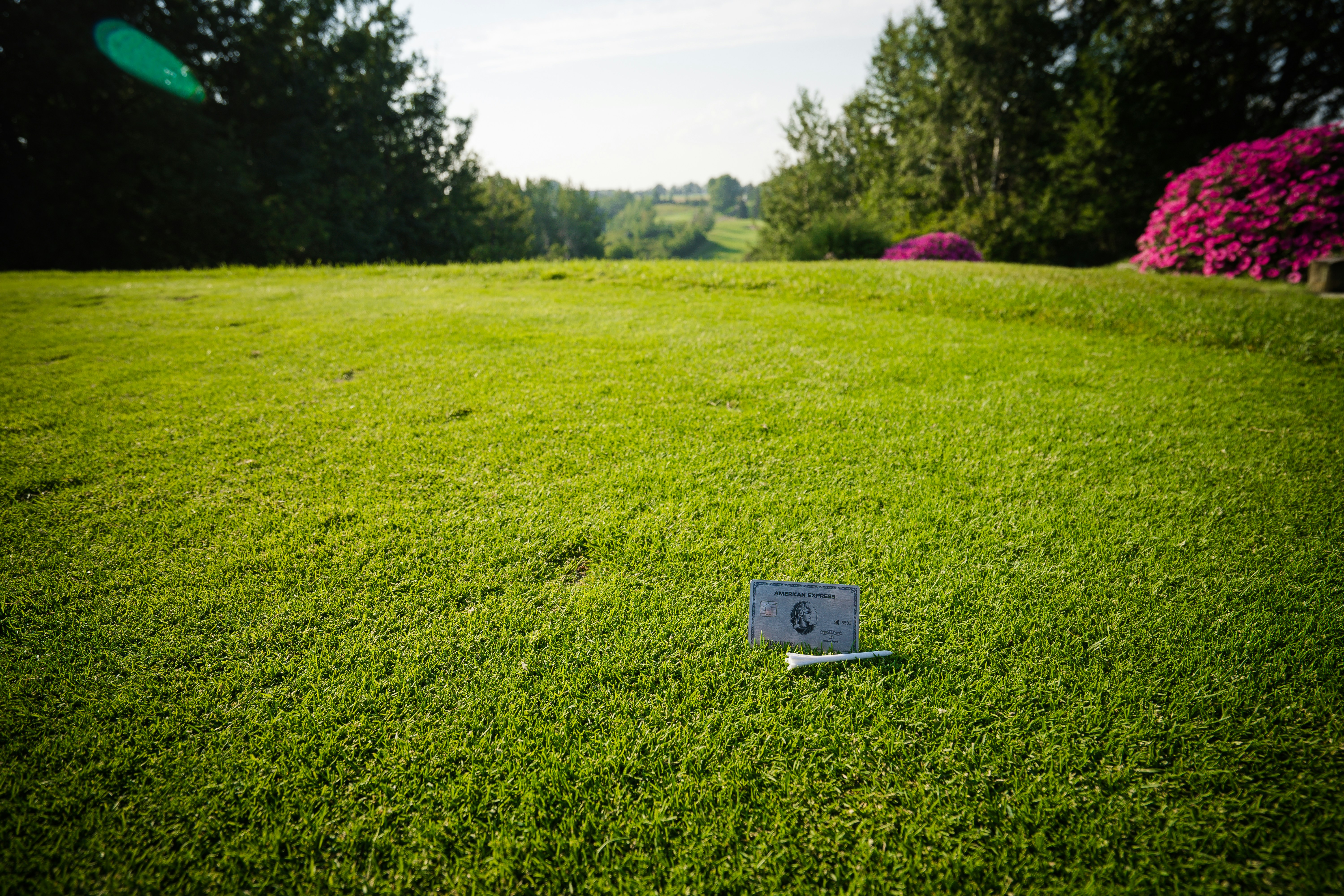 a laptop computer sitting on top of a lush green field, 