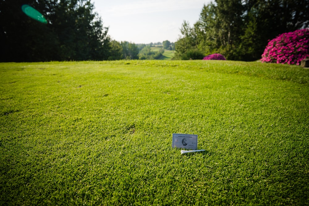a laptop computer sitting on top of a lush green field