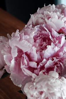A close-up of freshly cut, soft pink peonies resting gently on rustic wooden table with morning light filtering through leaves.
