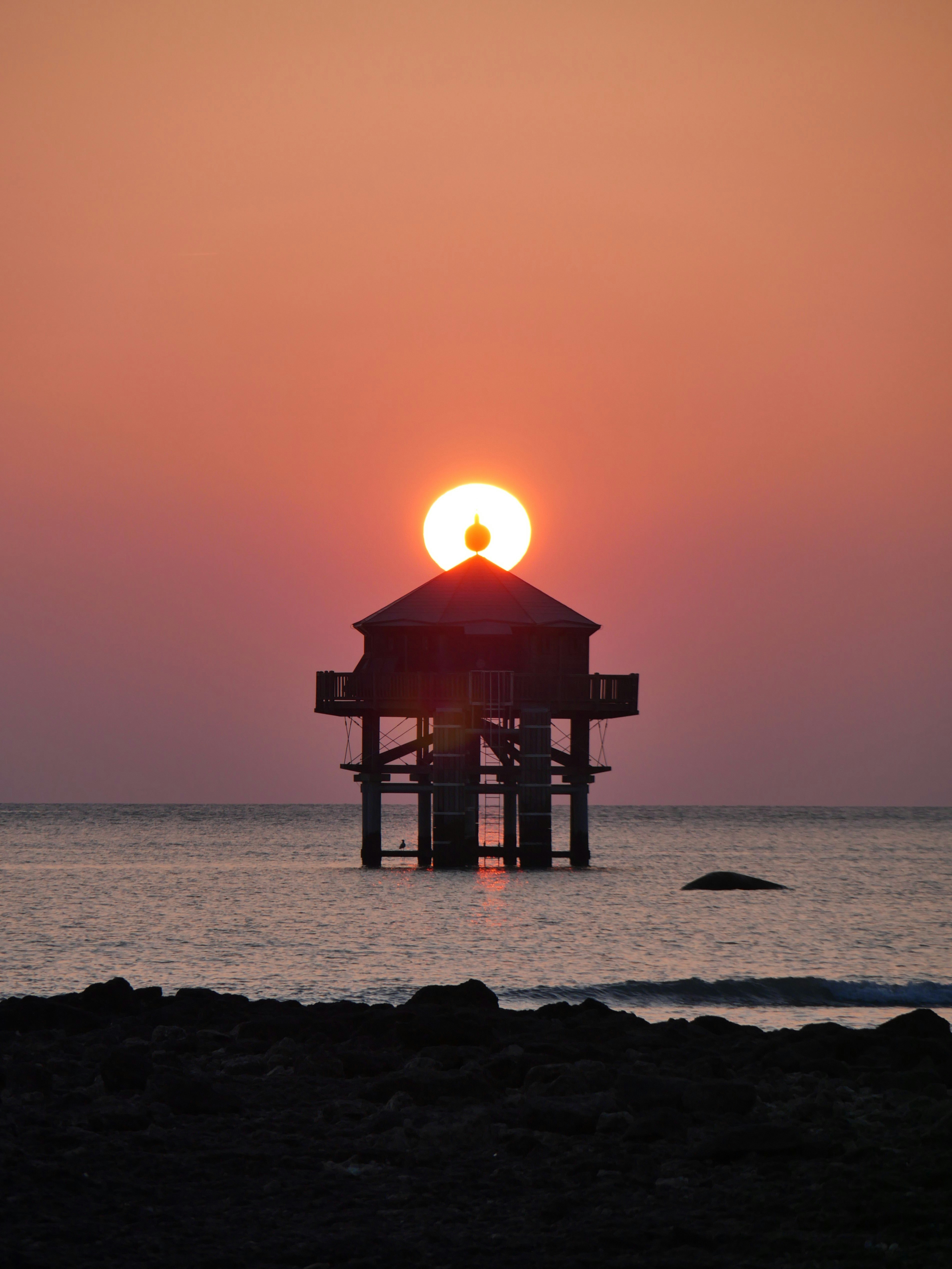 Photo by nimbus_vulpis