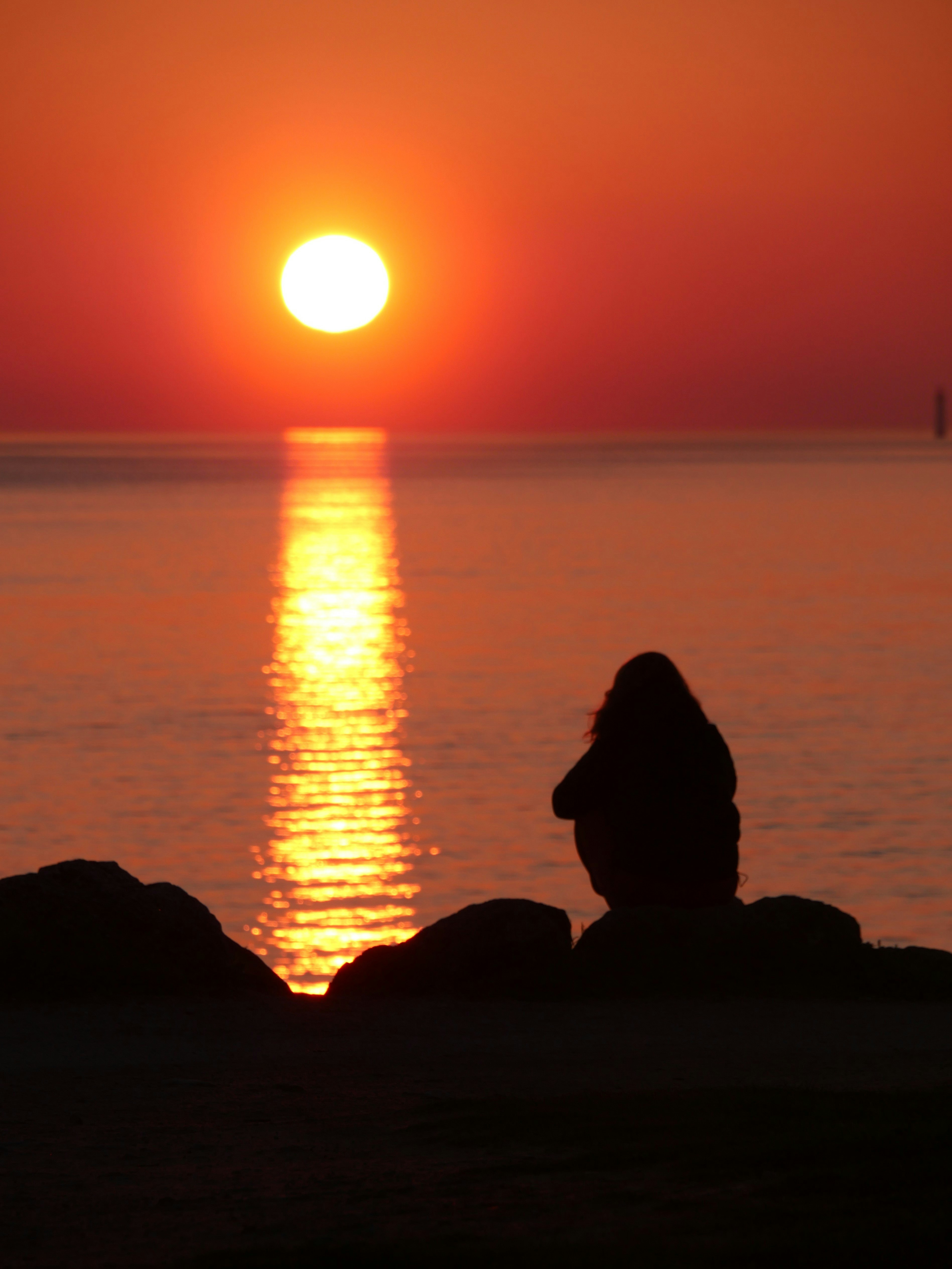 Photo by nimbus_vulpis