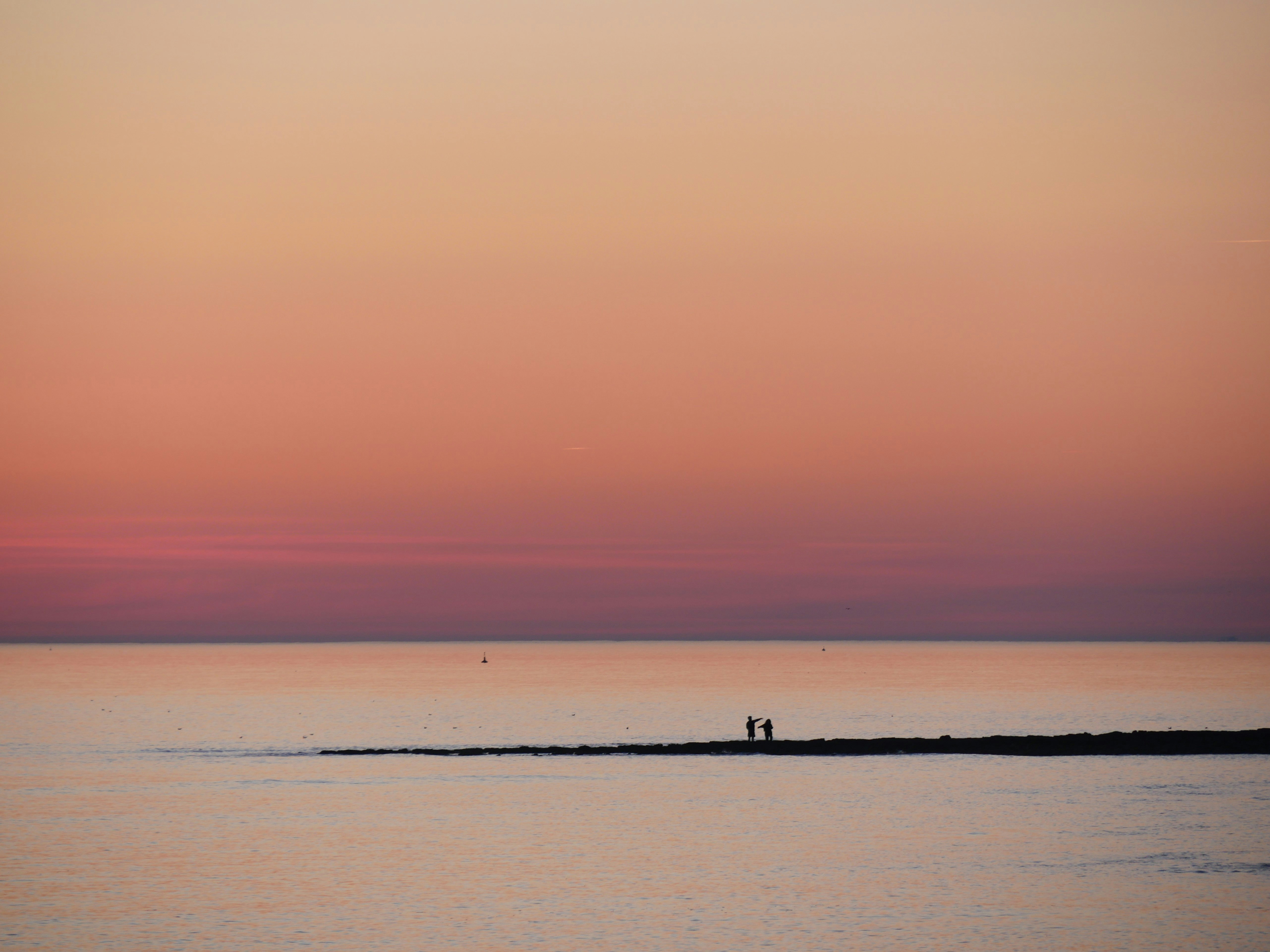 Photo by nimbus_vulpis