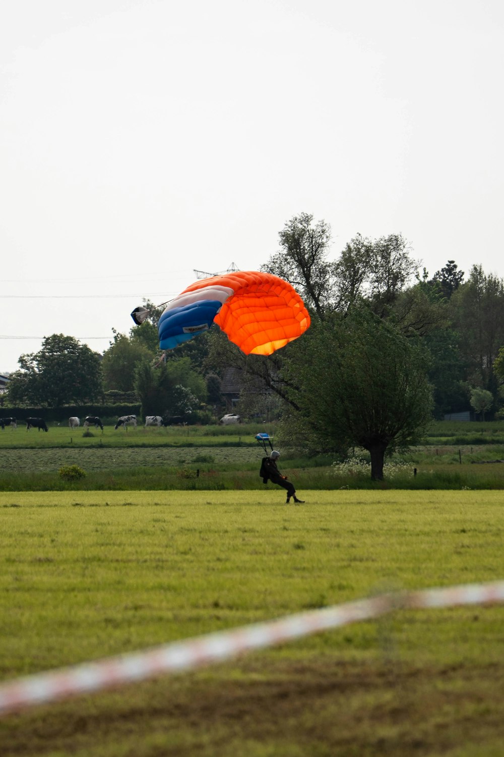a person is flying a kite in a field
