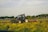 A tractor with the brand name 'Valtra' is operating in a field with green vegetation in the foreground. The background features a rural scene with houses and trees under a partly cloudy sky.