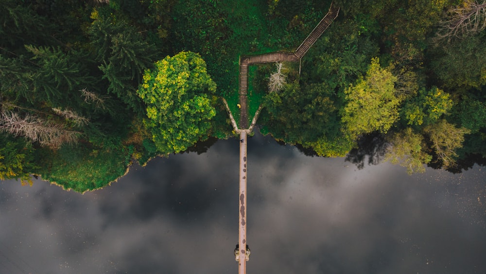 an aerial view of a road in the middle of a forest