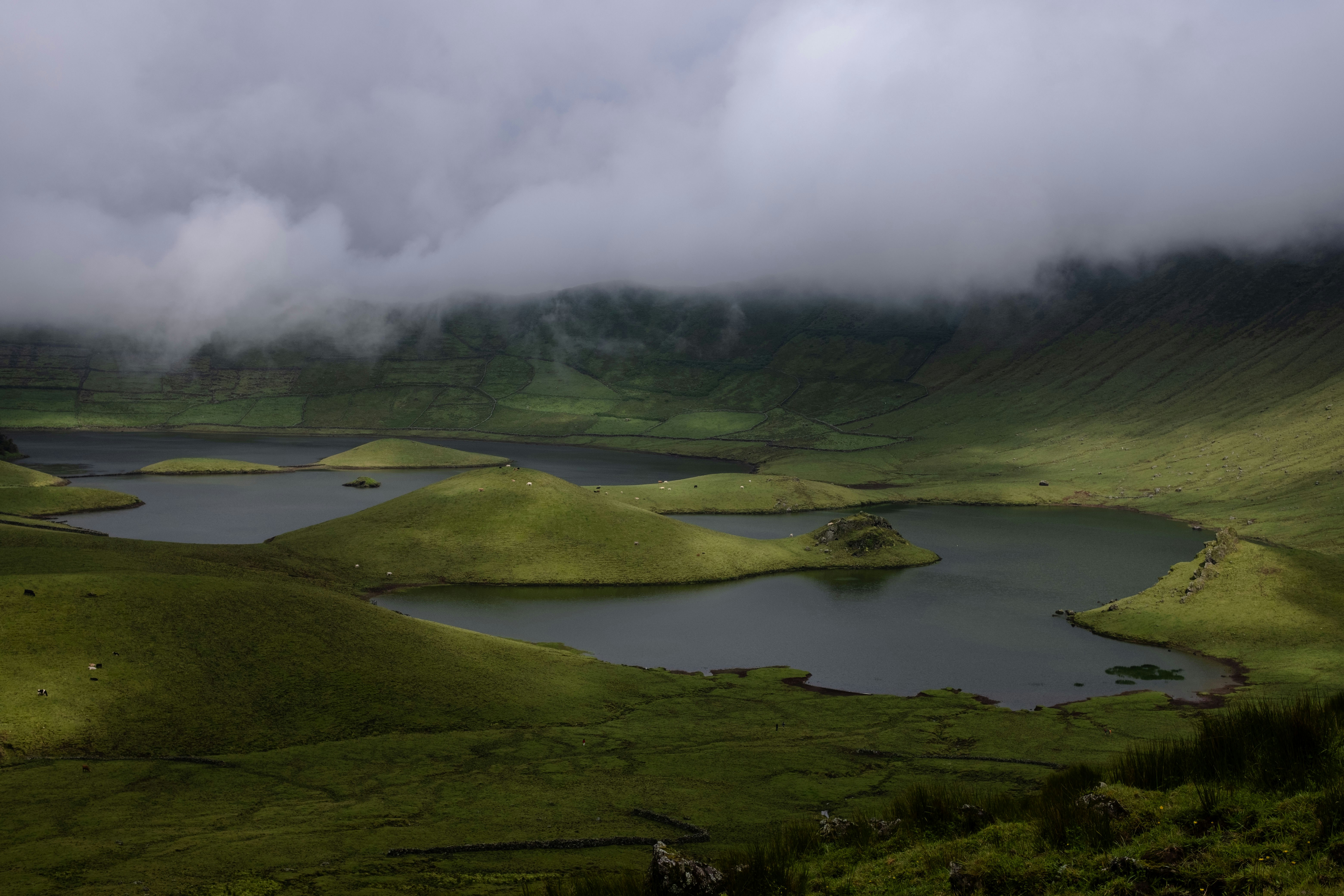 Photo by mariamiguelcardeiro