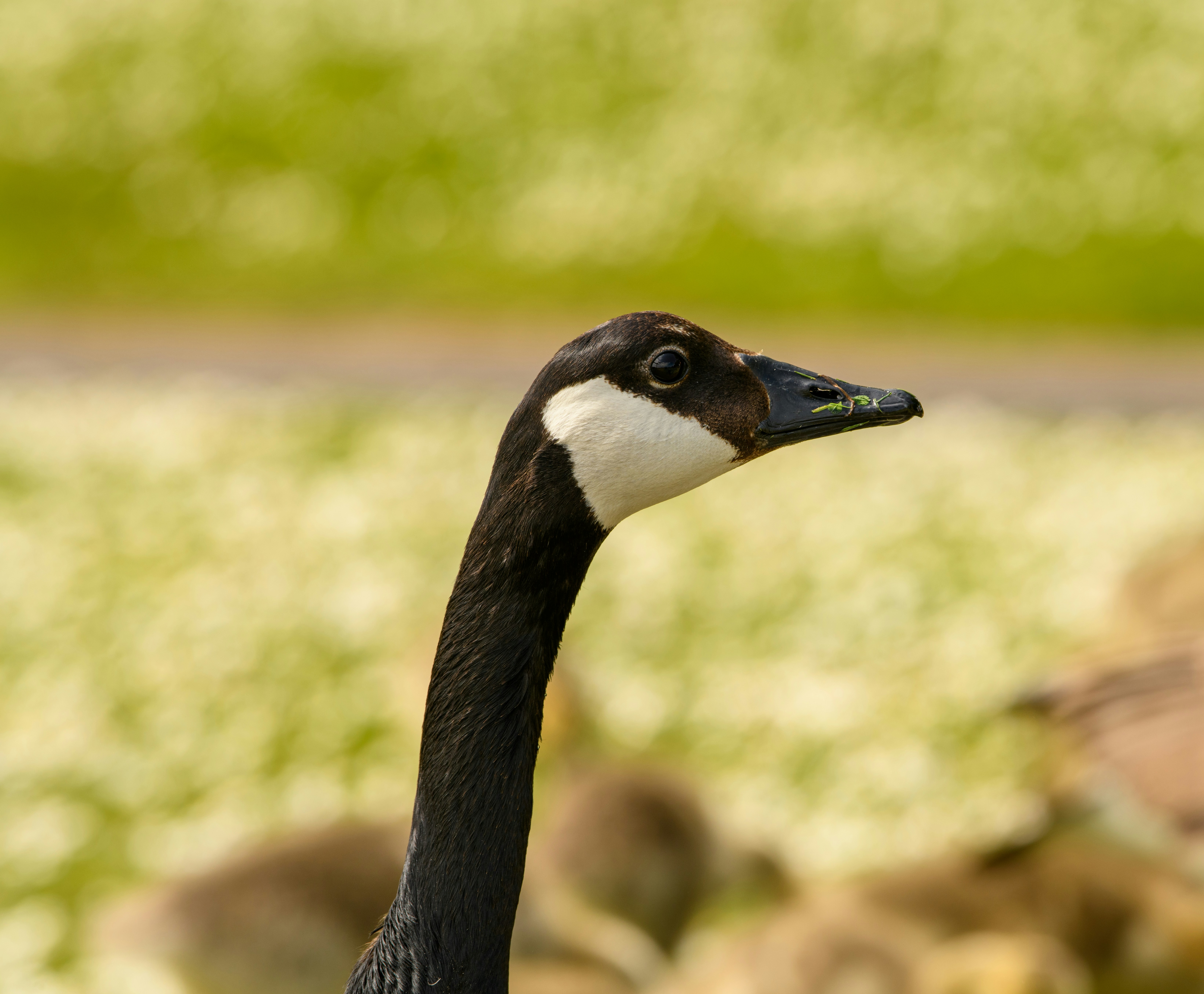 Photo by markmcneillphotography