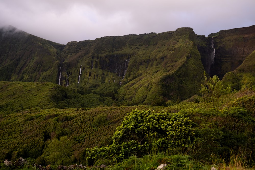 a lush green hillside with a waterfall in the distance