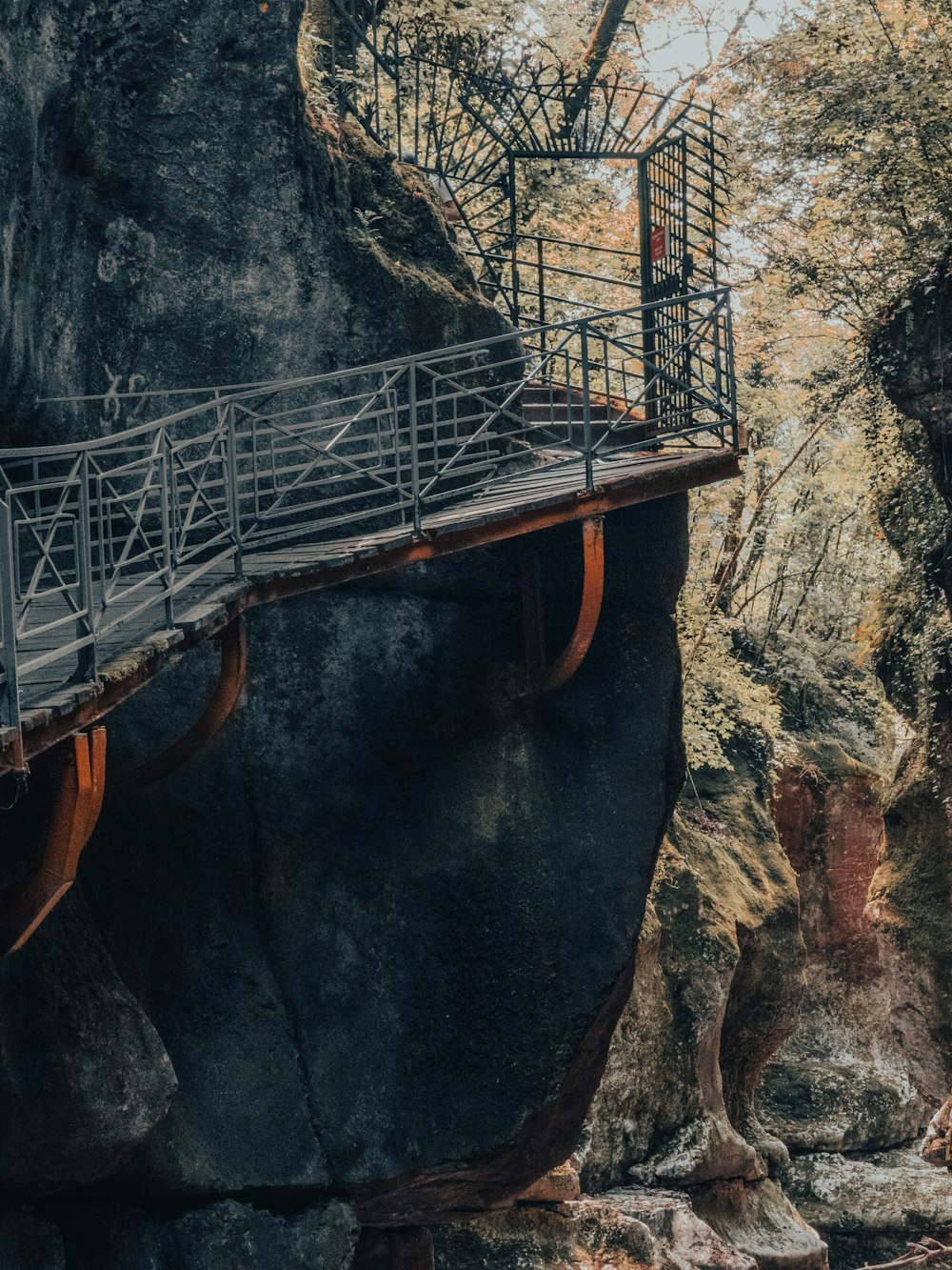 uma ponte sobre um rio no meio de uma floresta