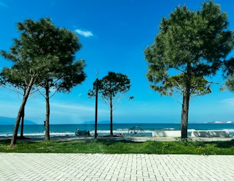 A serene beach scene featuring several pine trees along a paved promenade. In the background, there is a calm blue sea under a bright blue sky with a few scattered clouds. A bicycle is parked near one of the trees, and a couple of people can be seen enjoying the beach in the distance.