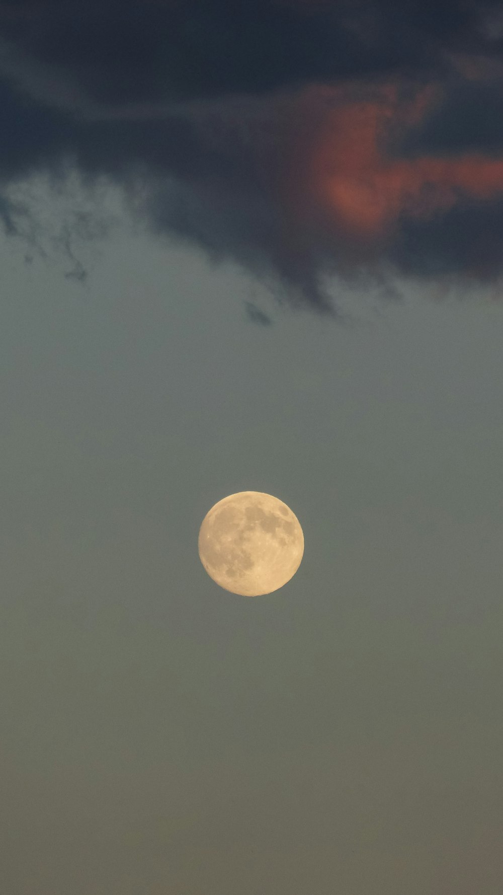 a full moon is seen in the sky