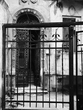 Traditional metal gate with intricate designs at the entrance of a historic building.