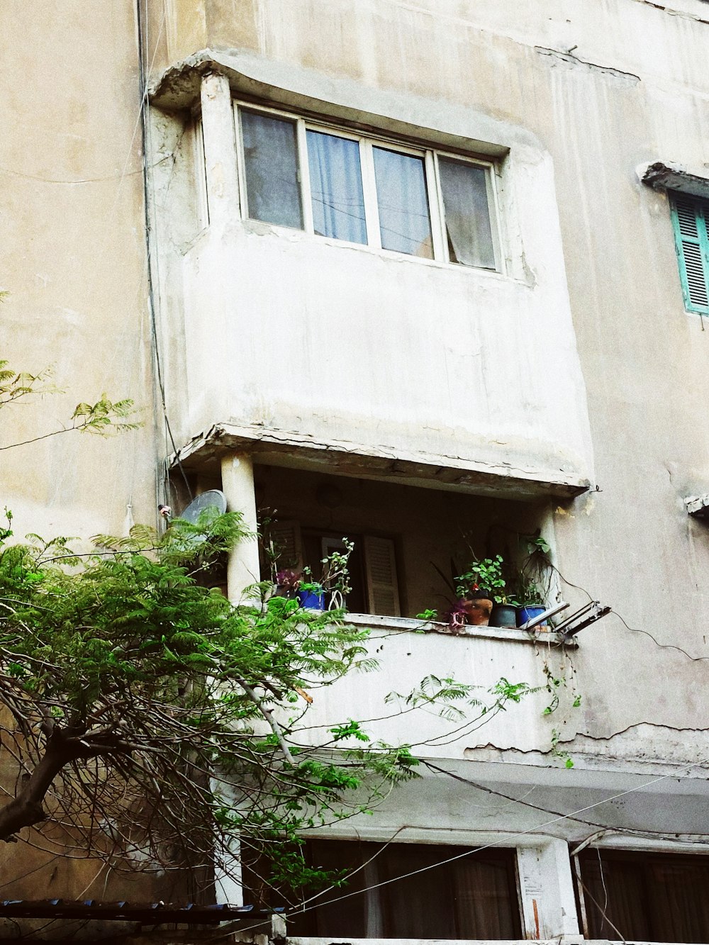 a building with a bunch of plants growing out of the windows