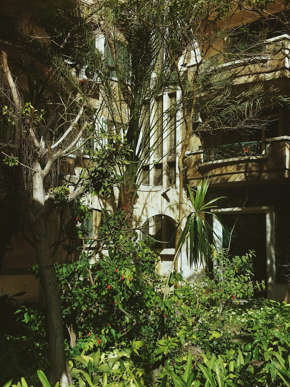 a building with a tree in front of it