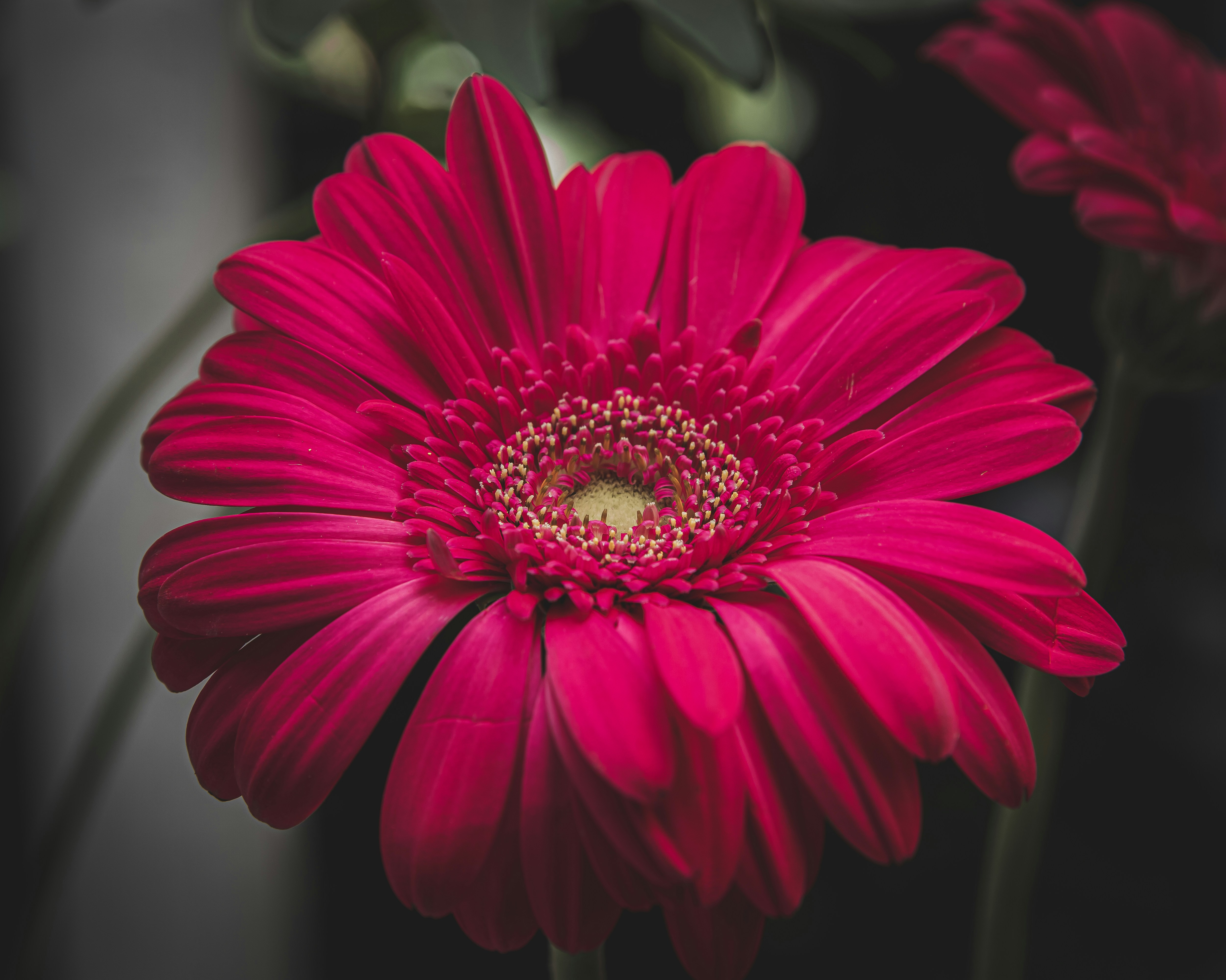 Photo by luwadlinbosman