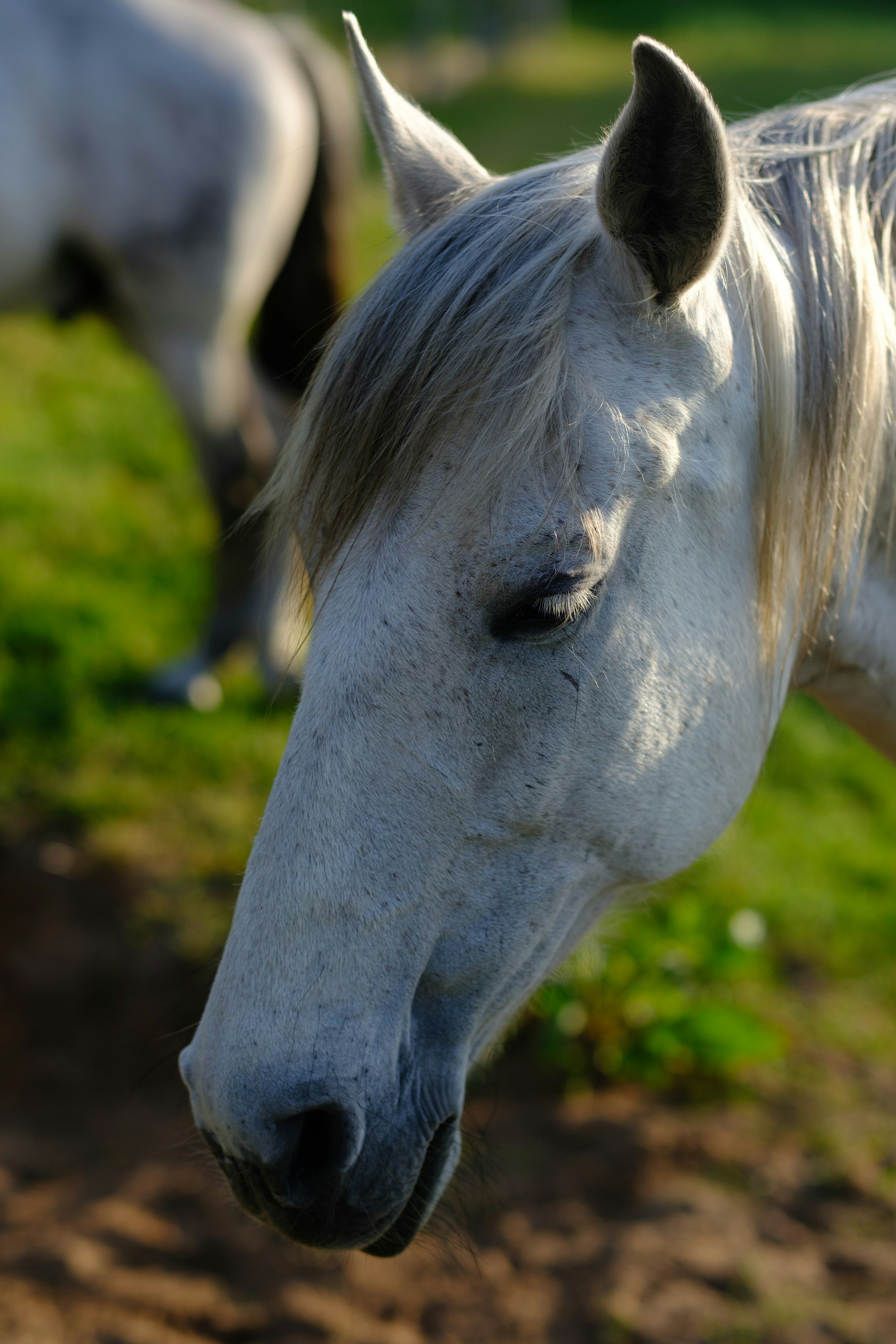 Photo by haberdoedas2