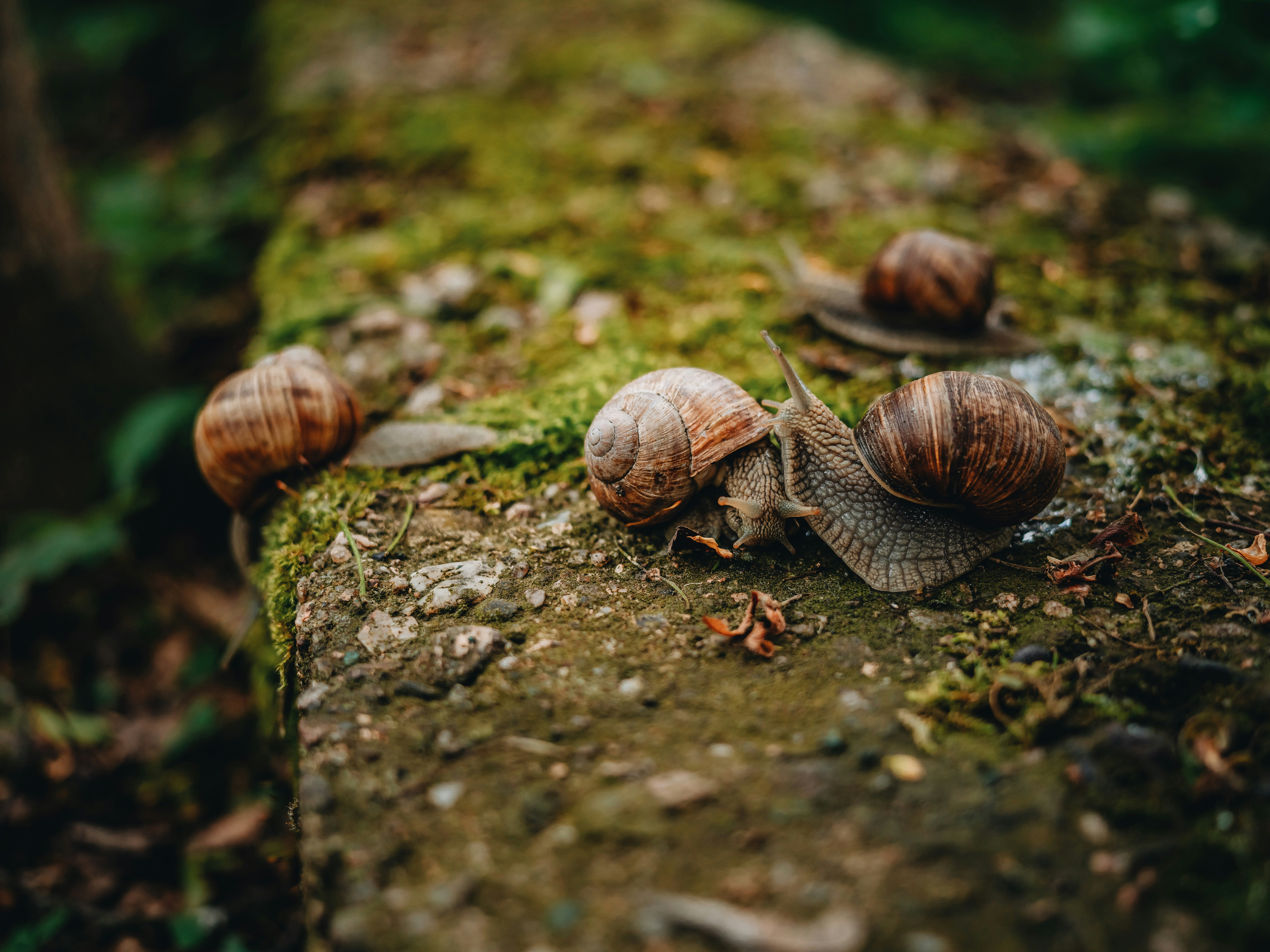 Photo by egorkomarov