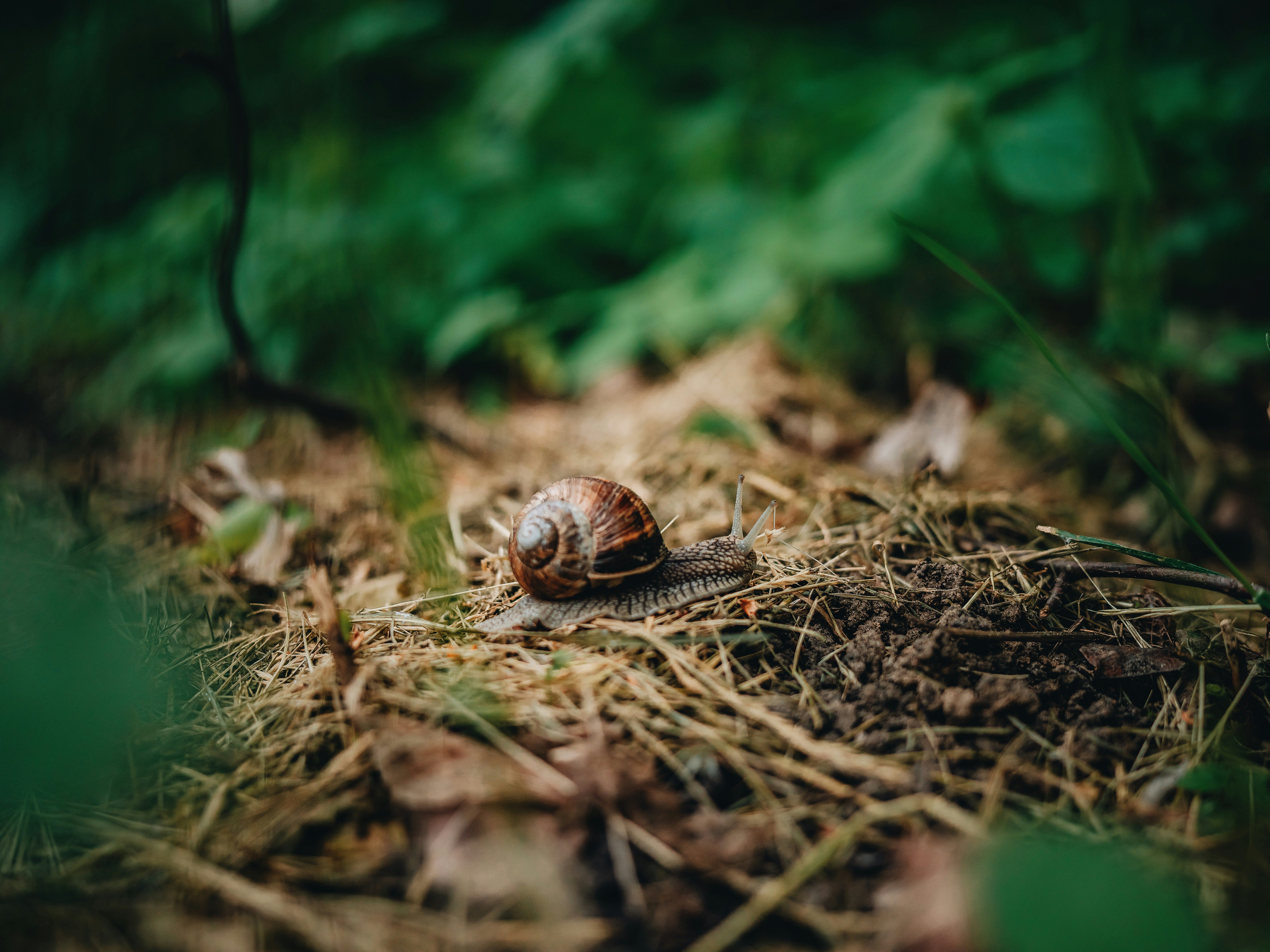 Photo by egorkomarov