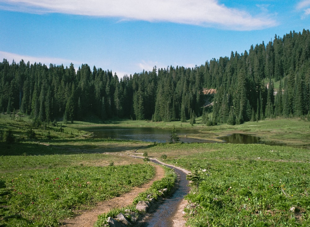 a dirt path in the middle of a green field