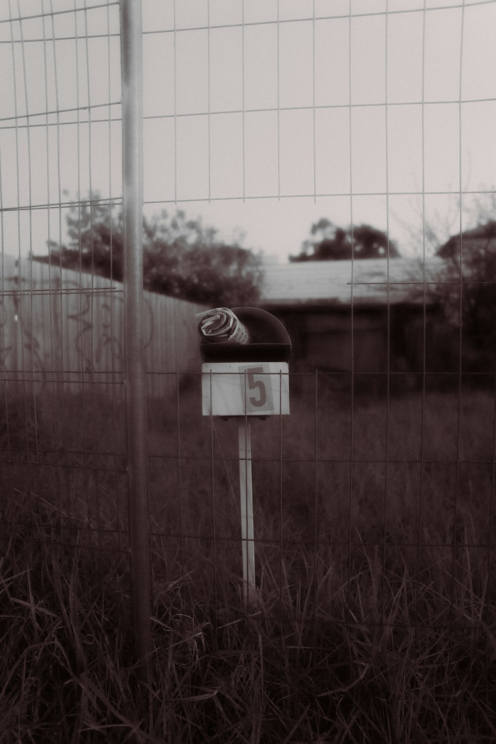 a black and white photo of a mailbox in a field