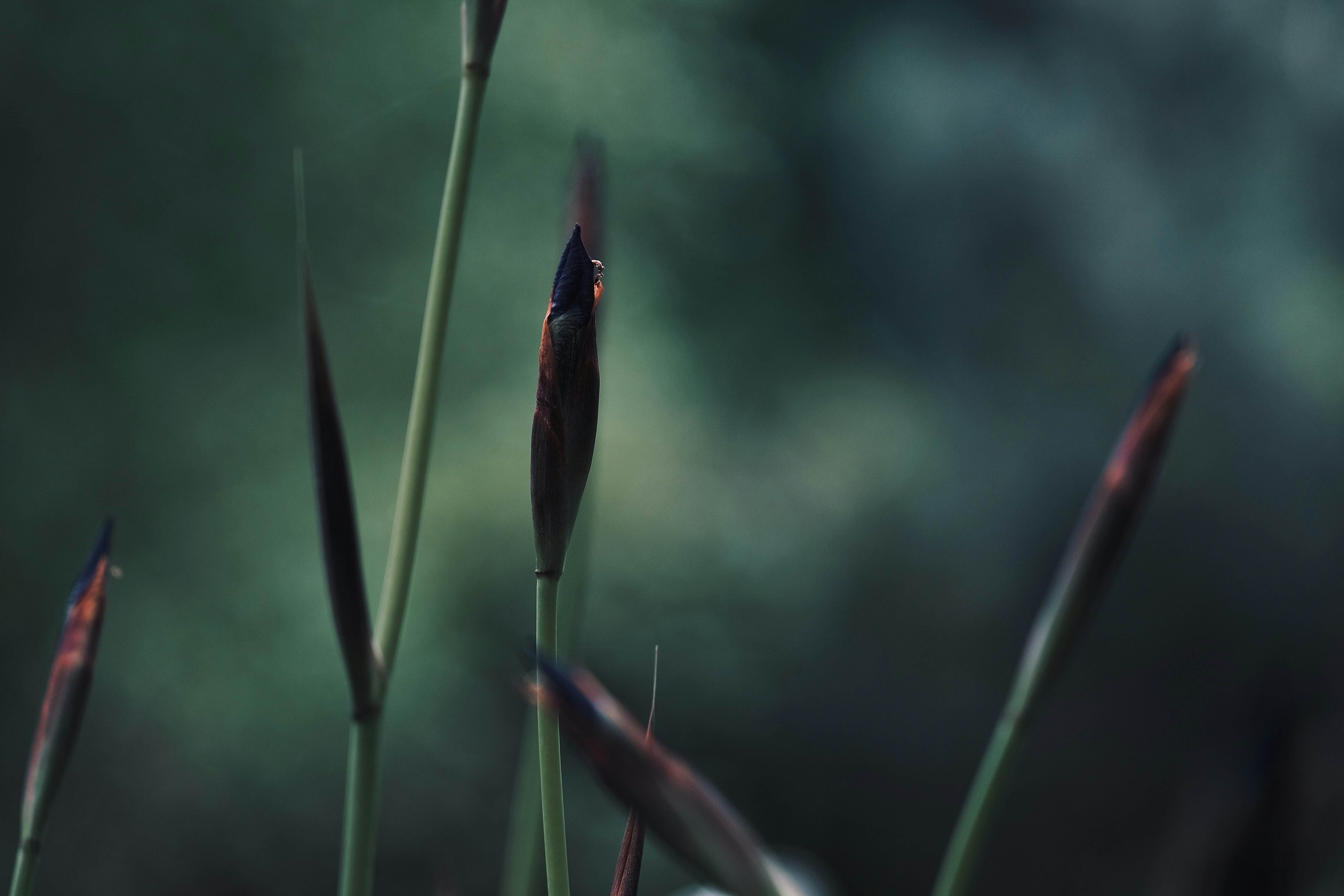 Photo by mkrawczynski