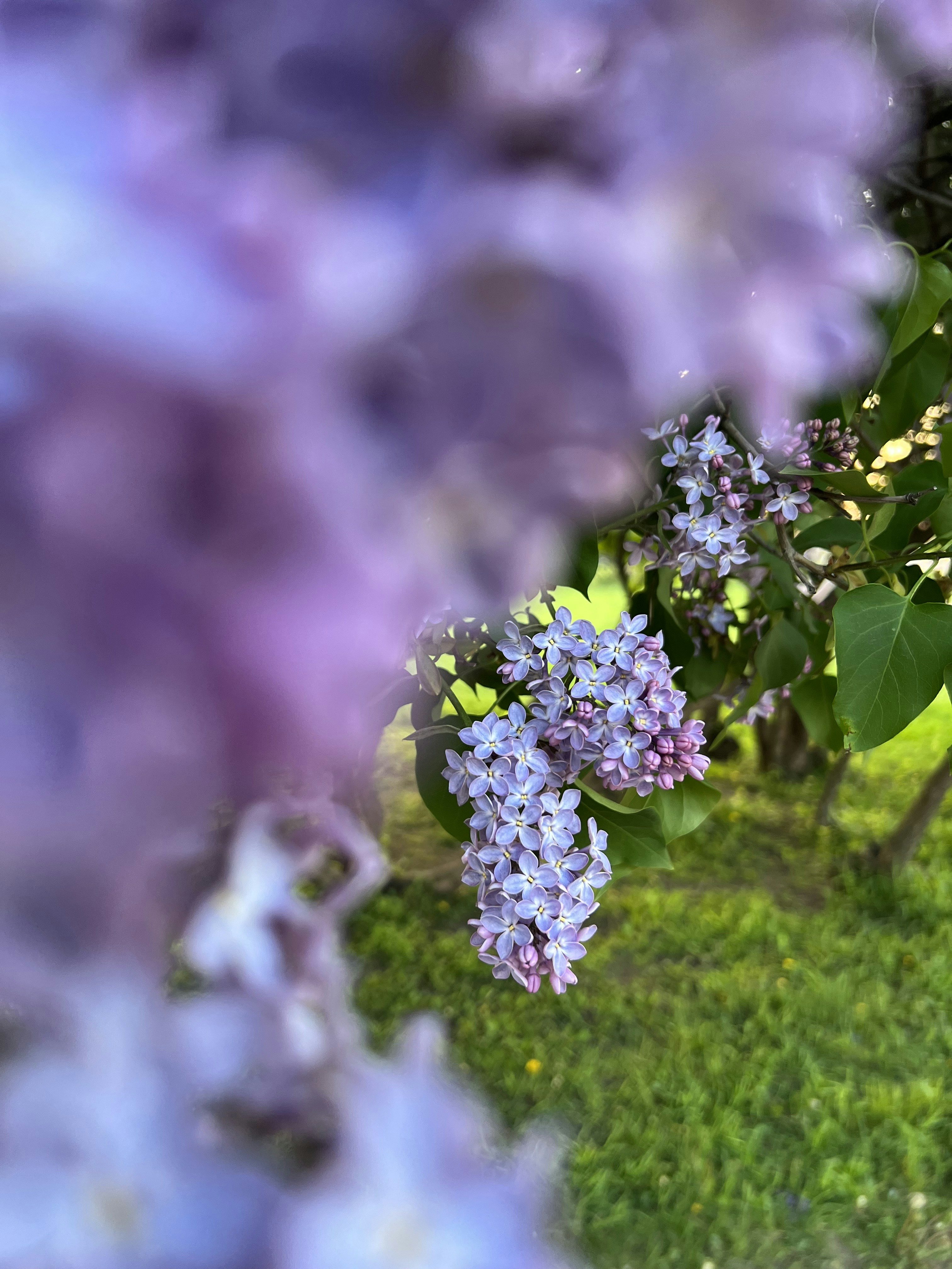 Photo by esthetic_soul