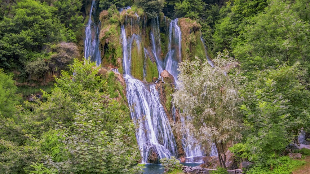 a waterfall in the middle of a forest