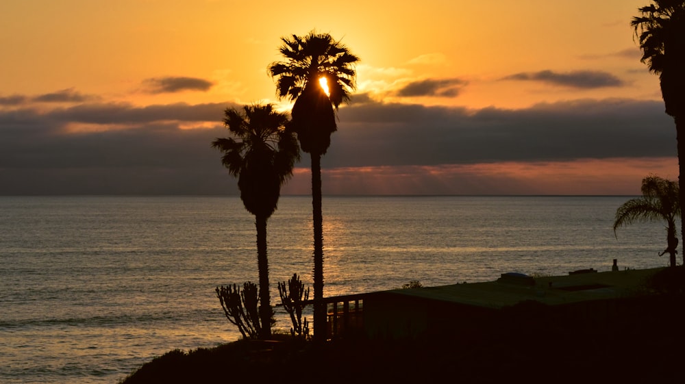 the sun is setting over the ocean with palm trees