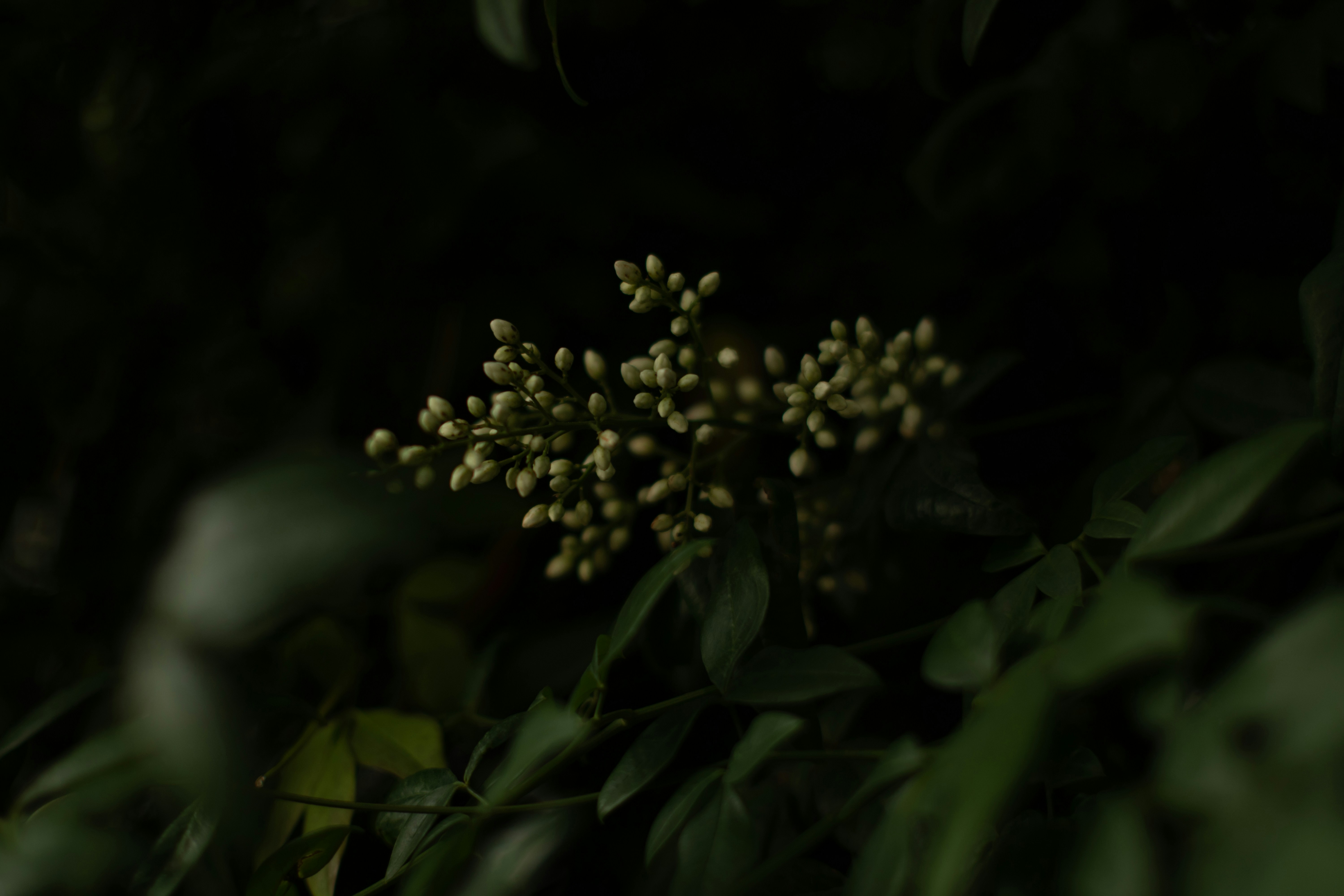 Photo by takatsuchida